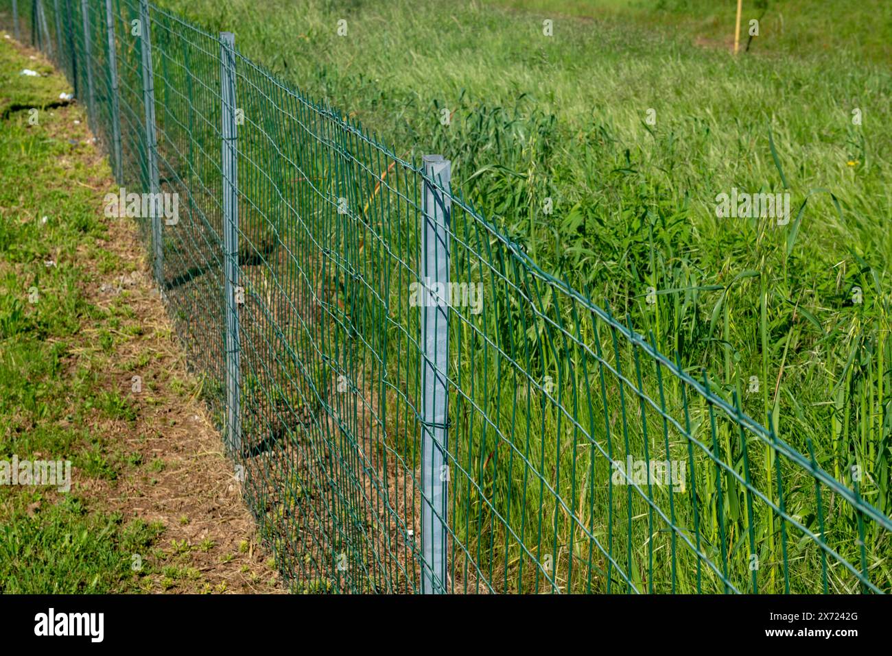 Grenzzaun auf einem Feld mit galvanisiertem Stahlmast und elektrogeschweißtem rechteckigem Maschendraht. Eigenschaftsgrenzen sind mit Polen und Netzen abgegrenzt. Stockfoto