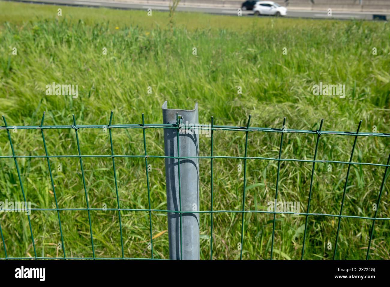 Grenzzaun auf einem Feld mit galvanisiertem Stahlmast und elektrogeschweißtem rechteckigem Maschendraht. Eigenschaftsgrenzen sind mit Polen und Netzen abgegrenzt. Stockfoto