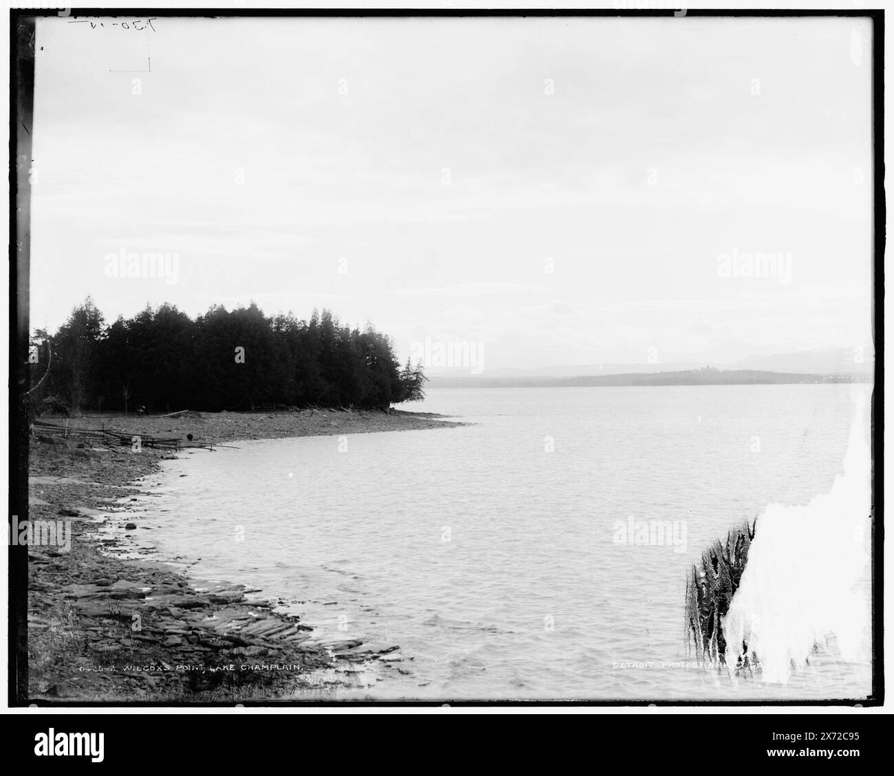 Wilcox's heißt Wilcox Point, Lake Champlain, '730-15' auf negativ. Detroit Publishing Co.-Nr. 042542., Geschenk; State Historical Society of Colorado; 1949, Capes (Küsten), Lakes & Teiche. , Usa, Champlain, Lake. , Usa, Vermont. Stockfoto