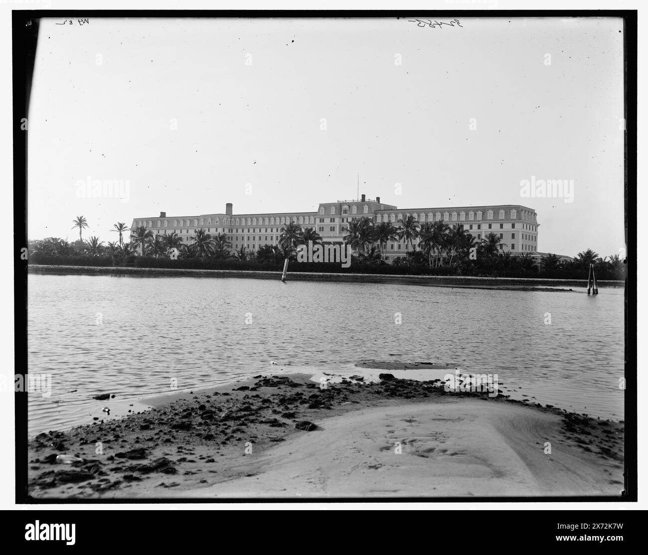 Royal Palm Hotel, Miami, Florida., Titel aus Jacke., 'WHJ 82' auf negativ. Detroit Publishing Co.-Nr. 32485., Geschenk; State Historical Society of Colorado; 1949, Hotels. , Resorts. , Flüsse. , Usa, Florida, Miami. , Usa, Florida, Miami River. Stockfoto