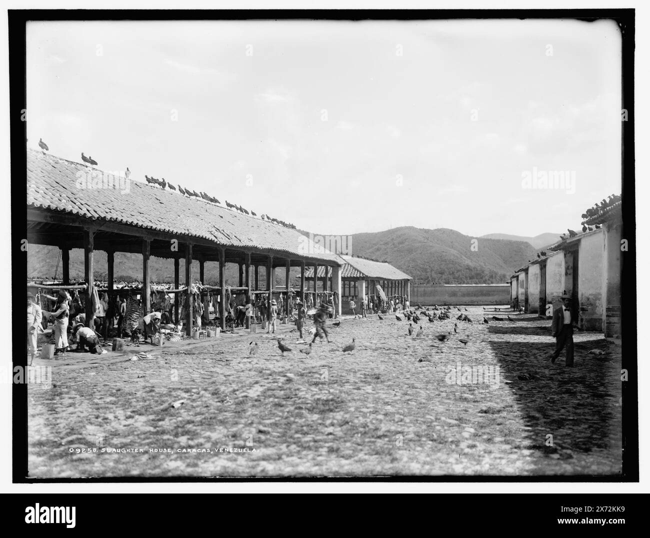 Schlachthof, Caracas, Venezuela, Datum basierend auf Detroit, Katalog P (1906)., Detroit Publishing Co.-Nr. 09258., Geschenk; State Historical Society of Colorado; 1949, Fleischindustrie. , Venezuela, Caracas. Stockfoto