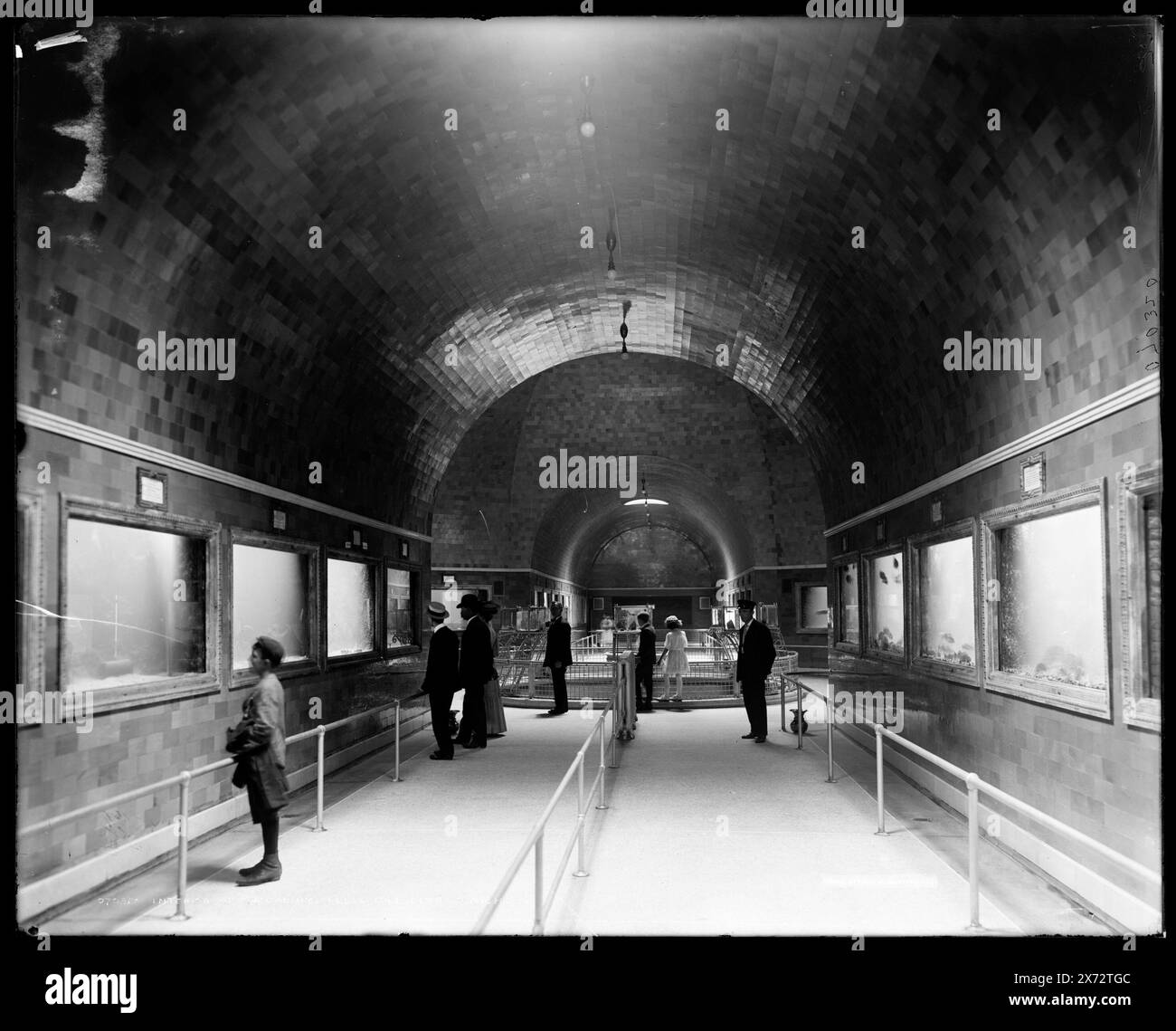 Innenraum des Aquariums, Belle Isle, Detroit, mir., Detroit Publishing Co.-Nr. 070320., Geschenk; State Historical Society of Colorado; 1949, Aquariums. , Parks. , Innenräume. , Usa, Michigan, Detroit. Stockfoto