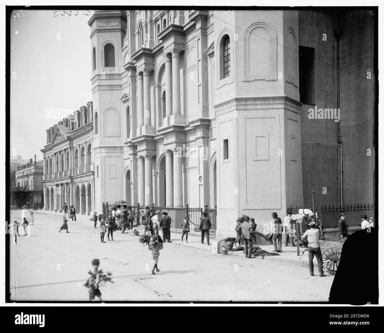 Karfreitag vor der alten St. Louis Cathedral, New Orleans, La, Titel aus Jacke., 'G 6863' auf negativ. Detroit Publishing Co.-Nr. 039641., Geschenk; State Historical Society of Colorado; 1949, Palms. , Cathedrals. , Karfreitag. , Usa, Louisiana, New Orleans. Stockfoto