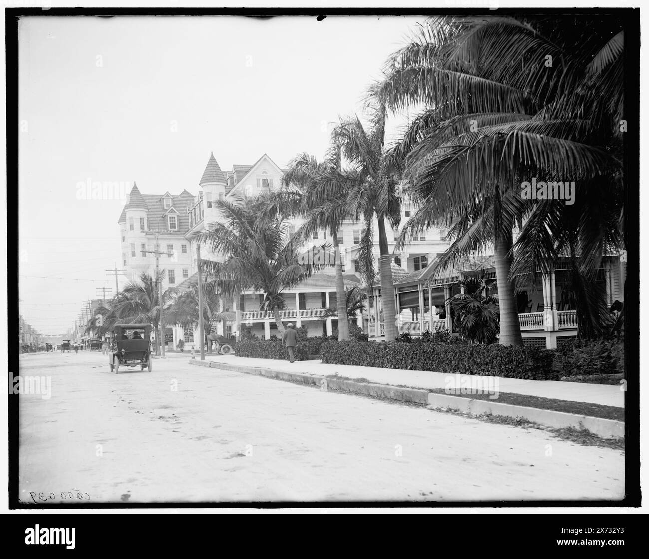 12th Street and Halcyon Hotel, Miami, Florida, Titel aus Jacke., 'G 7704' auf negativ. Detroit Publishing Co.-Nr. 500039., Geschenk; State Historical Society of Colorado; 1949, Streets. , Hotels. , Resorts. , Usa, Florida, Miami. Stockfoto