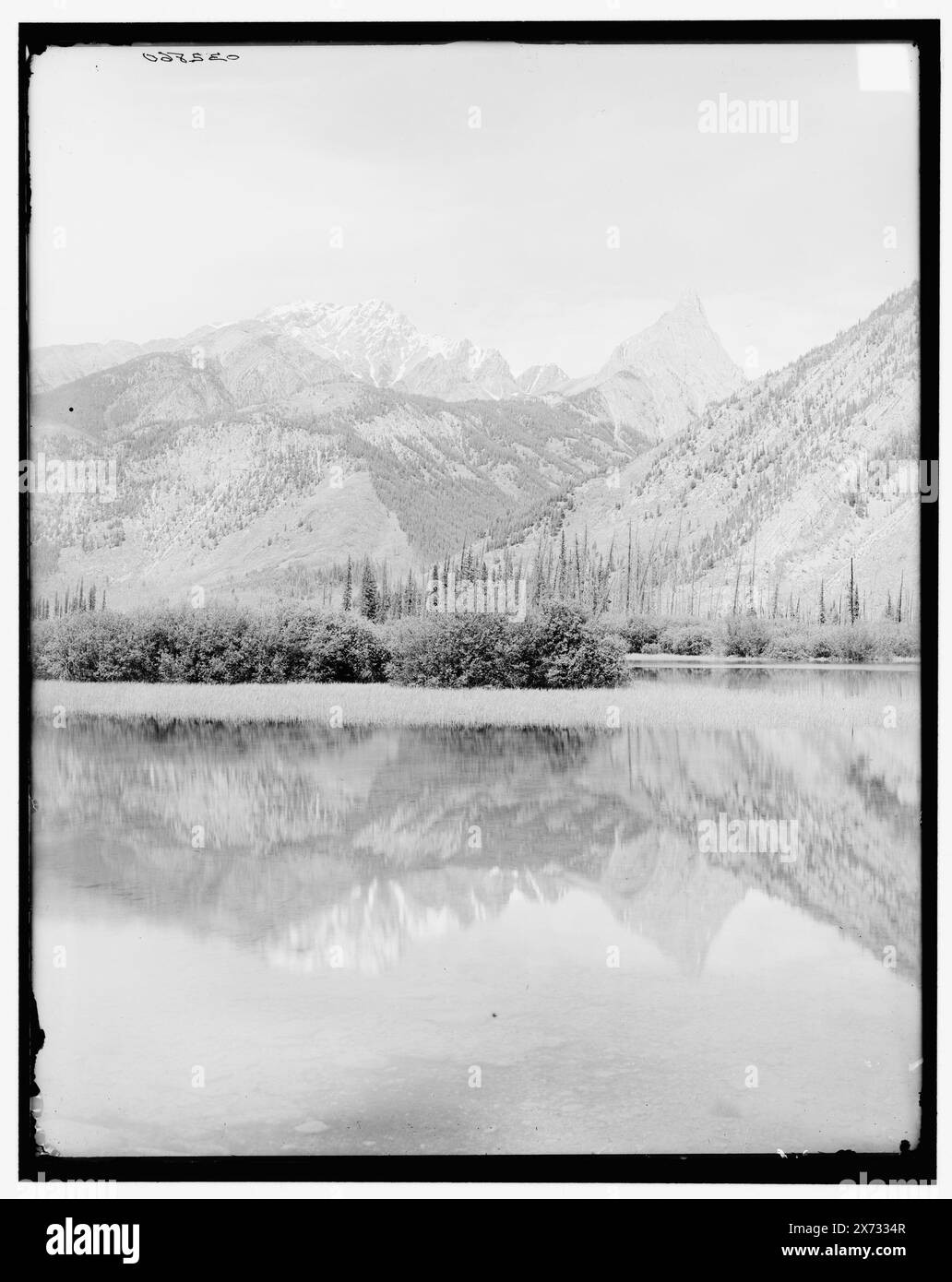 Mount Edith, Alberta, Kanada, Titel aus Jacke, '940' auf negativ. Detroit Publishing Co.-Nr. 032860., Geschenk; State Historical Society of Colorado; 1949, Mountains. , Nationalparks und Reservate. , Flüsse. Kanada, Alberta, Edith Cavell, Mount. Kanada, Alberta, Jasper National Park. Stockfoto