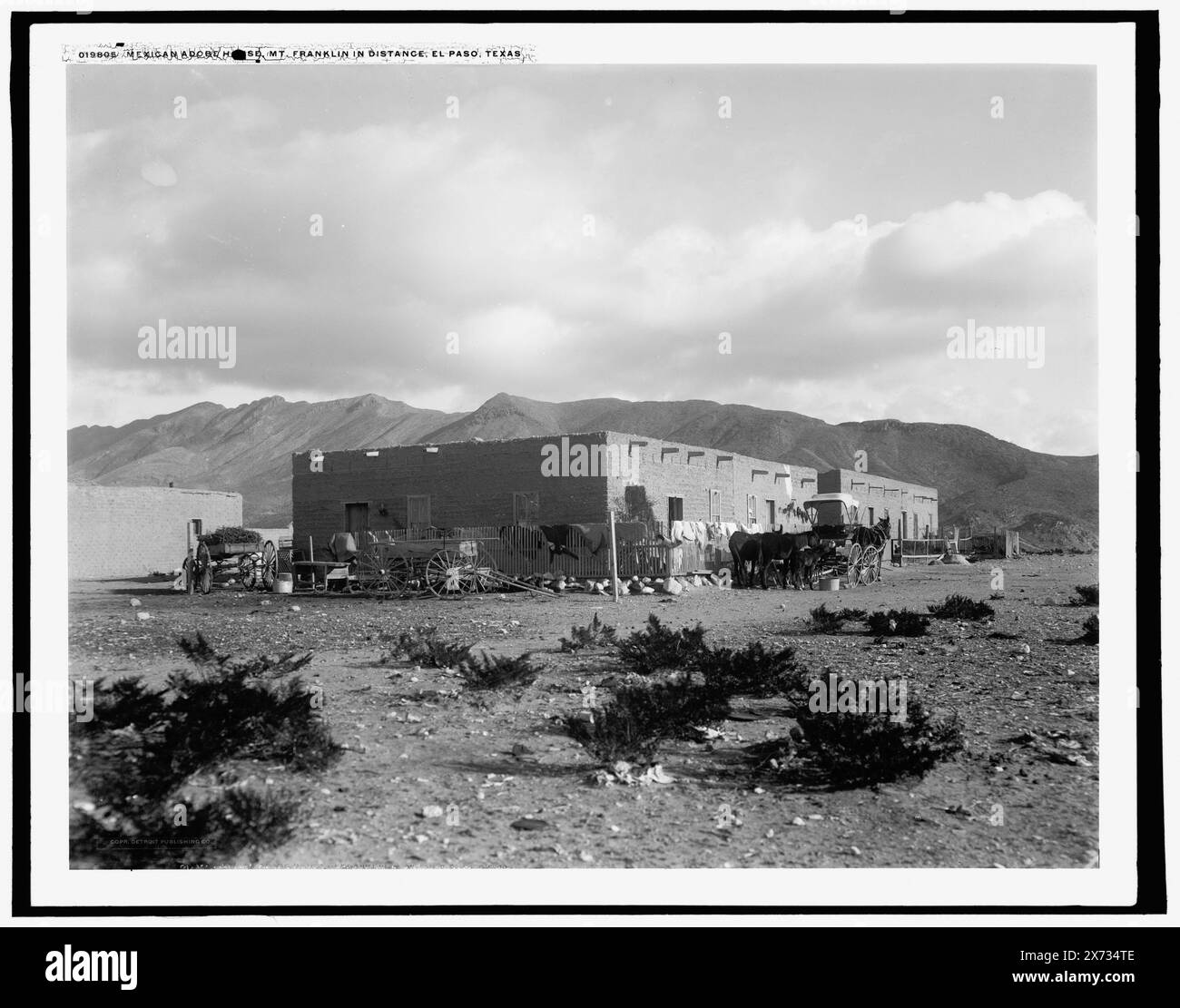 Mexikanisches lehmhaus, Mt. Franklin in Distanz, El Paso, Texas, Detroit Publishing Co.-Nr. 019805., Geschenk; State Historical Society of Colorado; 1949, Adobe Buildings. , Wohnungen. , Berge. , Usa, Texas, El Paso. Stockfoto