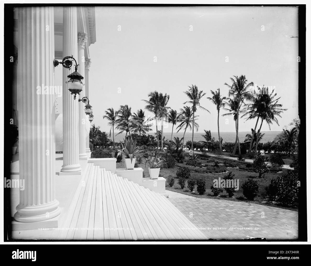 Veranda des Hotels Royal Palm, d. h. Royal Palm Hotel, Miami, Florida, Detroit Publishing Co.-Nr. 05823., Geschenk; State Historical Society of Colorado; 1949, Hotels. , Resorts. , Veranden. , Usa, Florida, Miami. Stockfoto