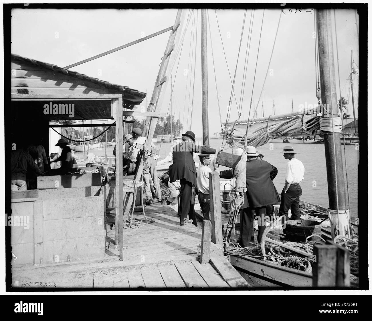 Miami, Fla., Fish Docks entlang der Miami, Titel aus Jacke., 'G 7697' auf negativ. Detroit Publishing Co. No. 0500046., Geschenk; State Historical Society of Colorado; 1949, Piers & Wharves. , Flüsse. , Fischereiindustrie. , Usa, Florida, Miami. , Usa, Florida, Miami River. Stockfoto