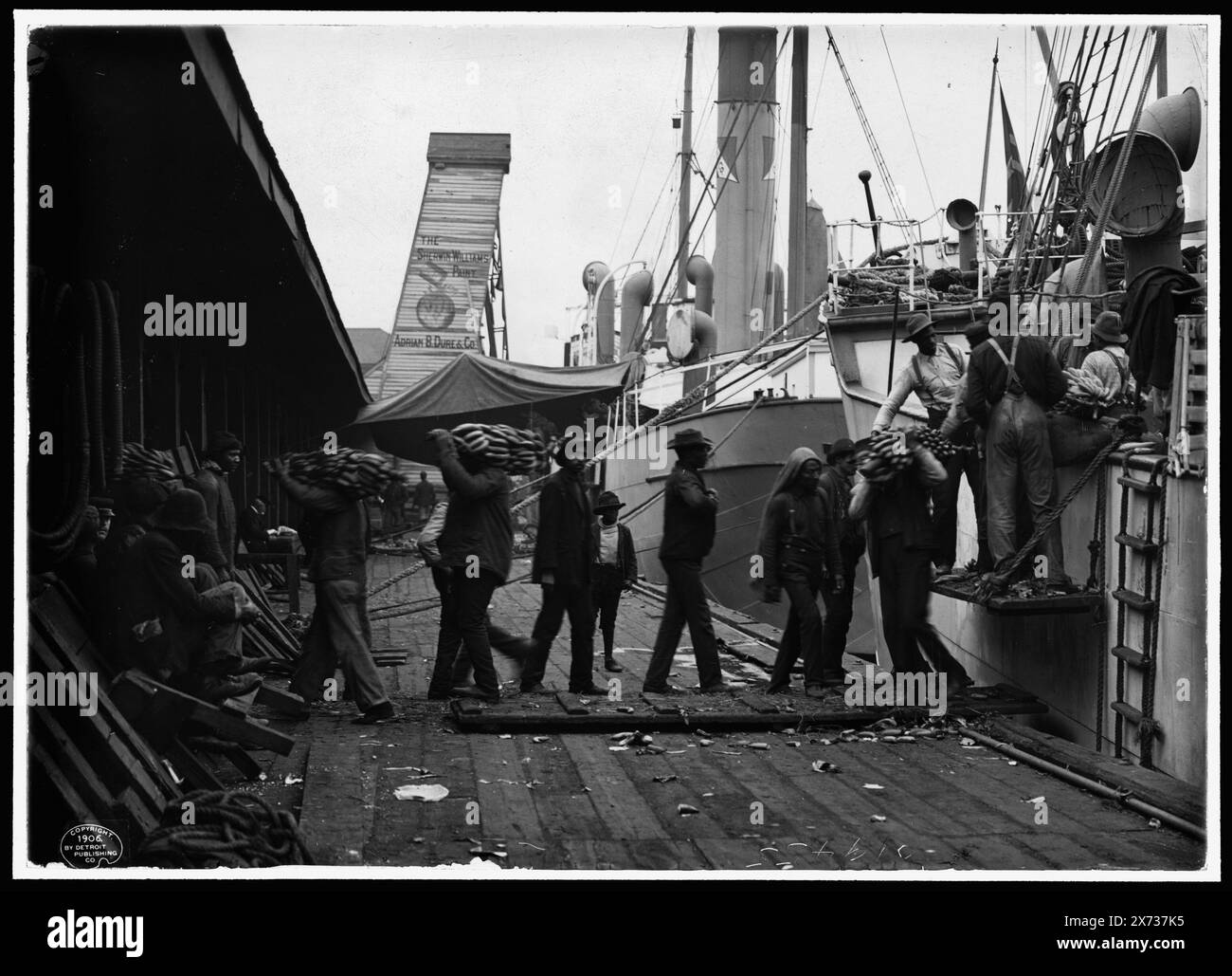 Entladen eines Bananendampfers, Mobile, Ala., 'G 3672' und '72' auf negativ. Detroit Publishing Co.-Nr. 019455., Geschenk; State Historical Society of Colorado; 1949, Bananas. , Versand. , Dampfboote. , Afroamerikaner, Beschäftigung. , Usa, Alabama, Mobile. Stockfoto