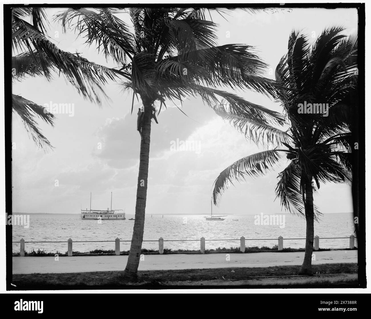 Sunrise or Moonlight on the Miami River, Miami, Florida, Title from Jacket., 'G 7687' on negative. Detroit Publishing Co. No. 500063., Geschenk; State Historical Society of Colorado; 1949, Sonnenaufgänge und Sonnenuntergänge. , Uferpromenade. , Palmen. , Usa, Florida, Miami. , Usa, Florida, Miami River. Stockfoto