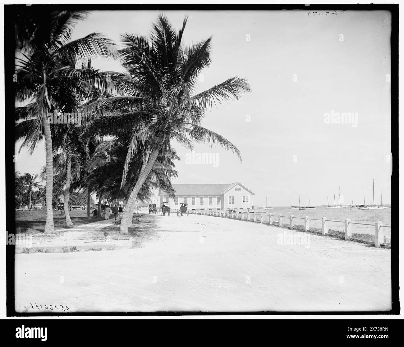 Bay Shore Road and the fair Building, Miami, Florida, Titel aus Jacke., 'G 7679' auf negativ. Detroit Publishing Co.-Nr. 500041., Geschenk; State Historical Society of Colorado; 1949, Waterfronts. , Palmen. , Usa, Florida, Miami. Stockfoto