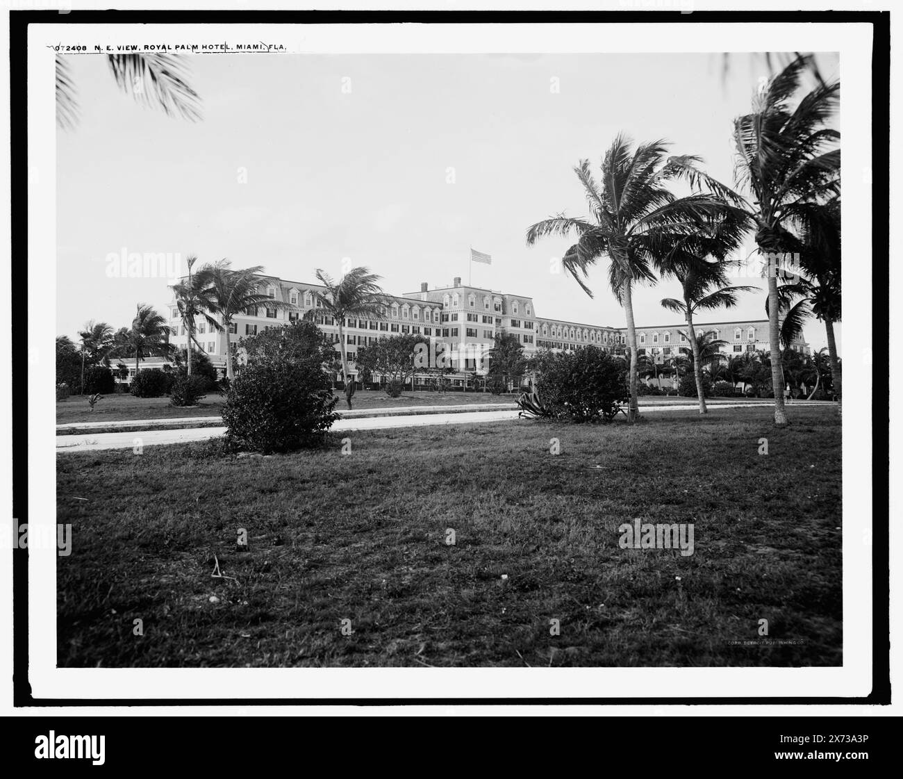 N.E. View, Royal Palm Hotel, Miami, Florida, Detroit Publishing Co. No. 072408., Geschenk; State Historical Society of Colorado; 1949, Hotels. , Resorts. , Usa, Florida, Miami. Stockfoto