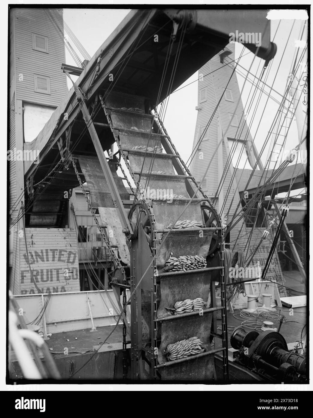 Bananenförderer in Betrieb, New Orleans, La, Titel aus Jacke., auf Förderband: United Fruit Co., 'G 6901' auf negativ., Detroit Publishing Co.-Nr. 039637., Geschenk; State Historical Society of Colorado; 1949, Bananas. , Obstindustrie. , Versand. , Fördersysteme. , Usa, Louisiana, New Orleans. Stockfoto