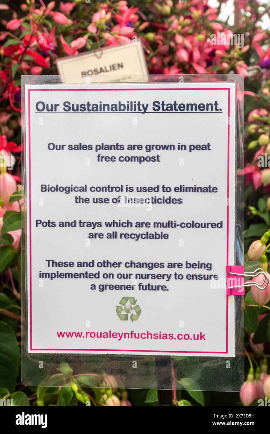 Unsere Nachhaltigkeitserklärung auf der Ausstellung von Fuchsien oder Blumen, die in einer Gärtnerei in England, Großbritannien, angebaut werden Stockfoto