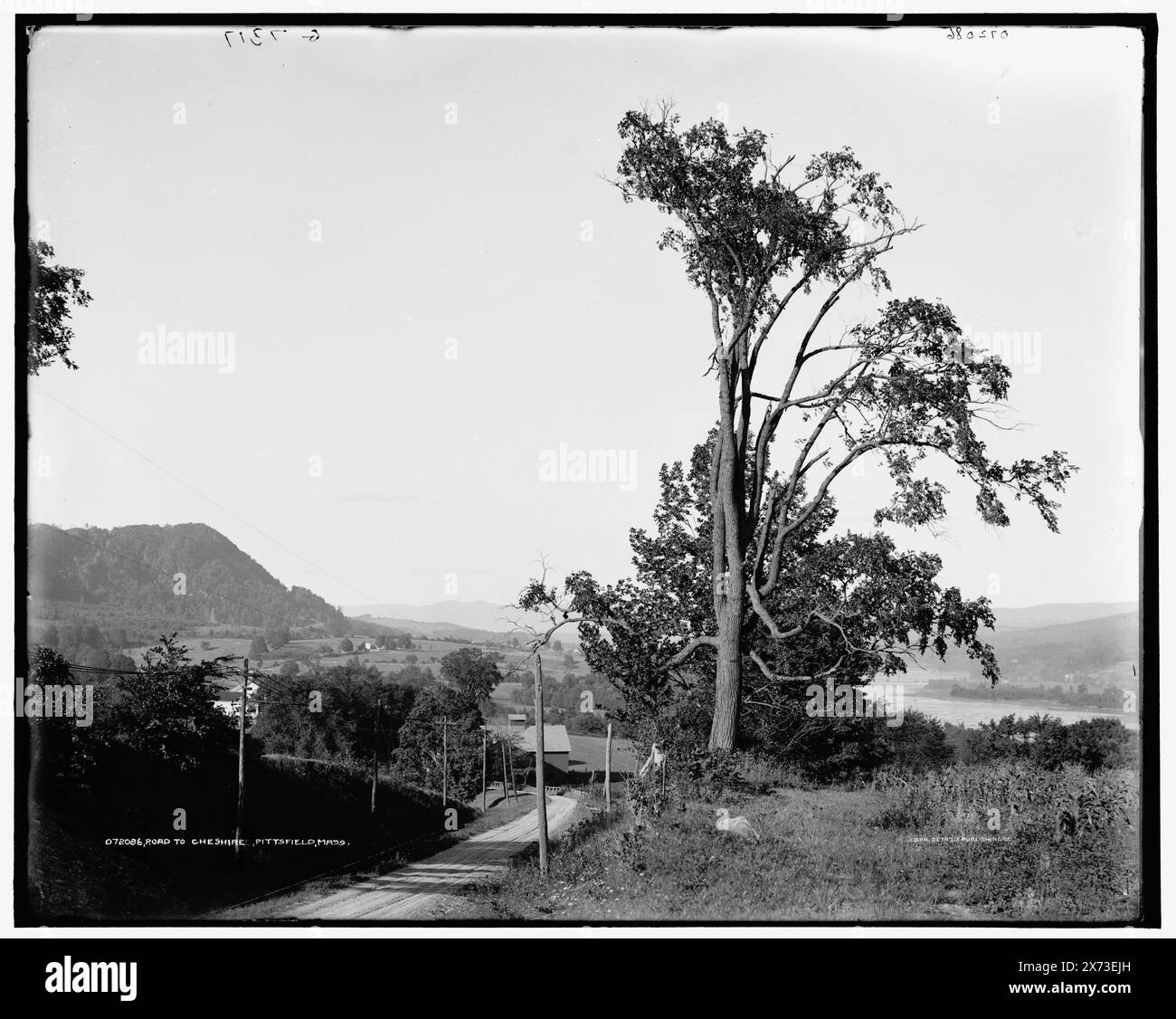 Road to Cheshire, Pittsfield, Mass., 'G 7317' auf negativ. Detroit Publishing Co.-Nr. 072086., Geschenk; State Historical Society of Colorado; 1949, Roads. , Berge. , Usa, Massachusetts, Pittsfield. Stockfoto