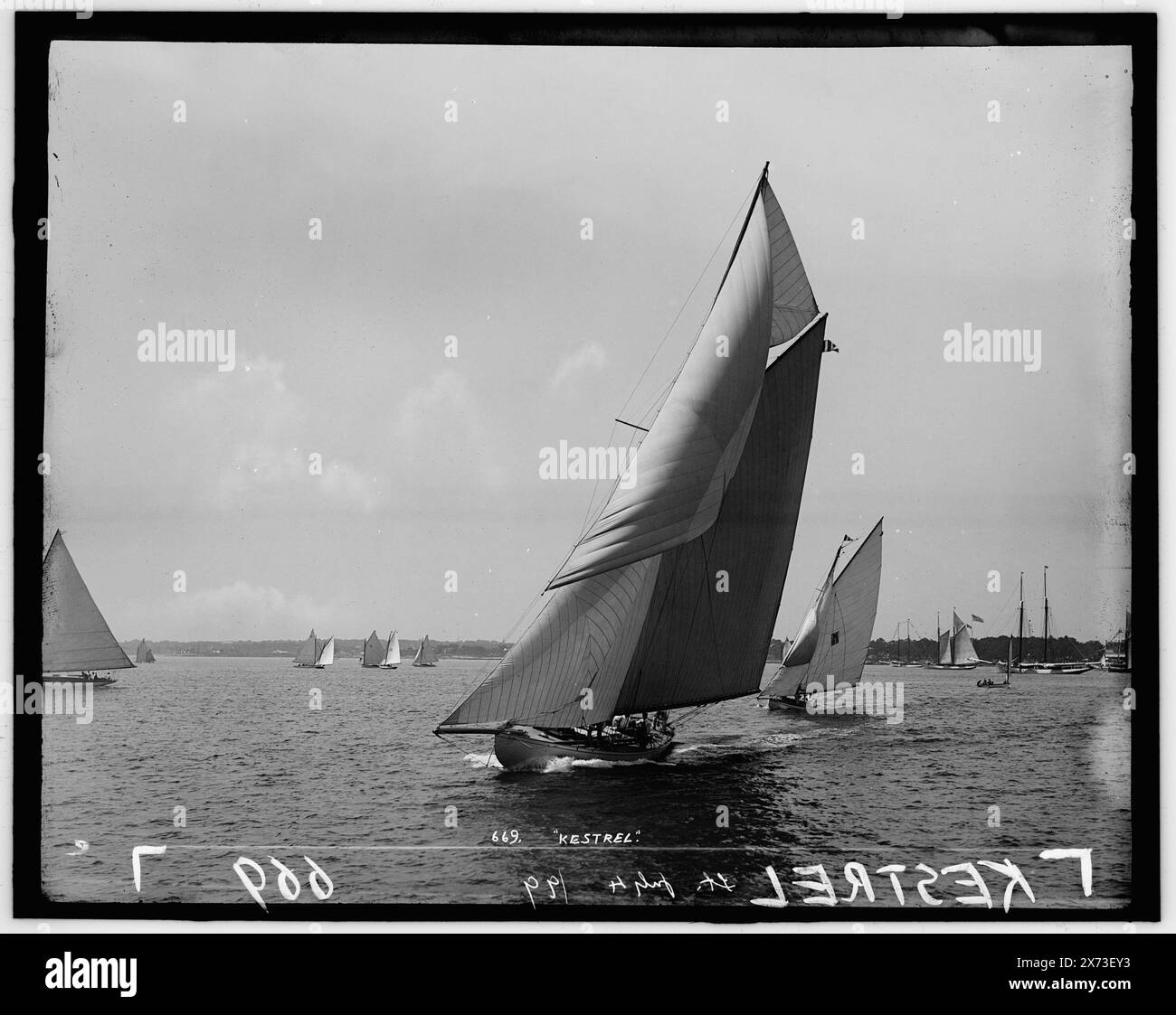 Kestrel, Attribution basiert auf Titel und Nummerierung., wahrscheinlich Larchmont Yacht Club., '669' und 'Lt.' auf negativ. No. Detroit Publishing Co. No., Gift; State Historical Society of Colorado; 1949, Kestrel (Yacht), Yachts. Stockfoto