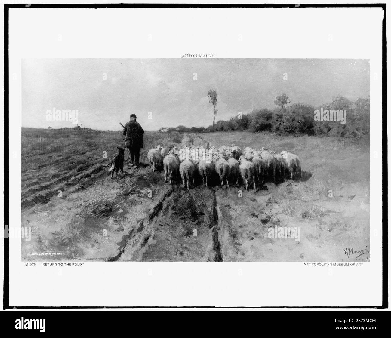 Zurück zur Falte, Foto eines Gemäldes signiert 'A. Mauve' im Metropolitan Museum of Art., '050343' auf negativ. Detroit Publishing Co.-Nr. M 575., Geschenk; State Historical Society of Colorado; 1949, Shepherds. Stockfoto