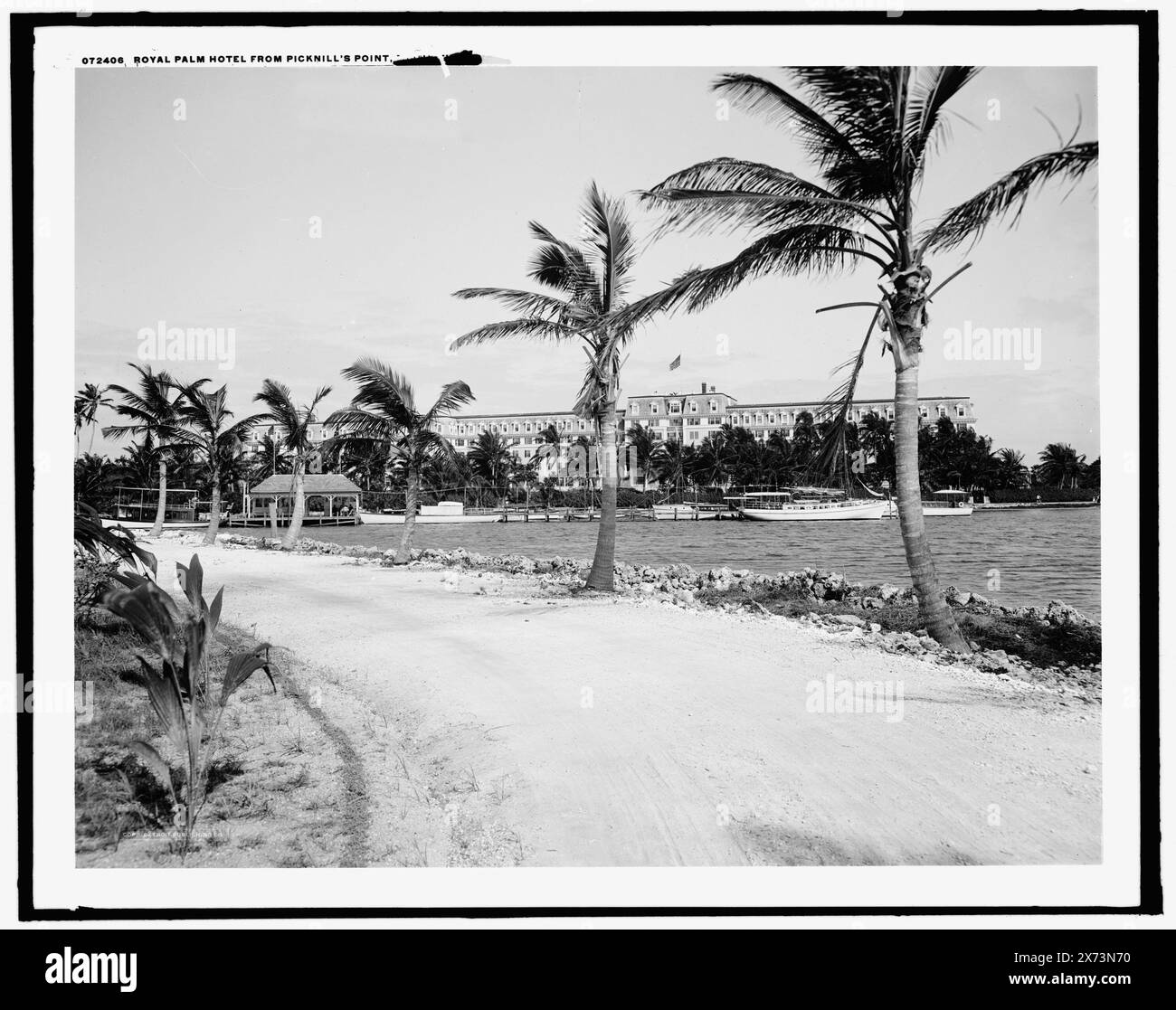 Royal Palm Hotel von Picknill's, d. h. Brickell Point, Miami, Florida, Detroit Publishing Co.-Nr. 072406., Geschenk; State Historical Society of Colorado; 1949, Hotels. , Resorts. , Uferpromenade. , Palmen. , Usa, Florida, Miami. Stockfoto