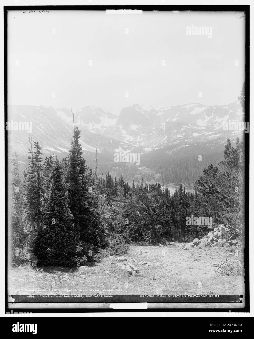 Fernansicht des Long Lake bei Ward, Colos, 'WHJ 456' auf negativ. Detroit Publishing Co.-Nr. 013844., Geschenk; State Historical Society of Colorado; 1949, Mountains. Usa, Colorado, Long Lake. , Usa, Rocky Mountains. Stockfoto