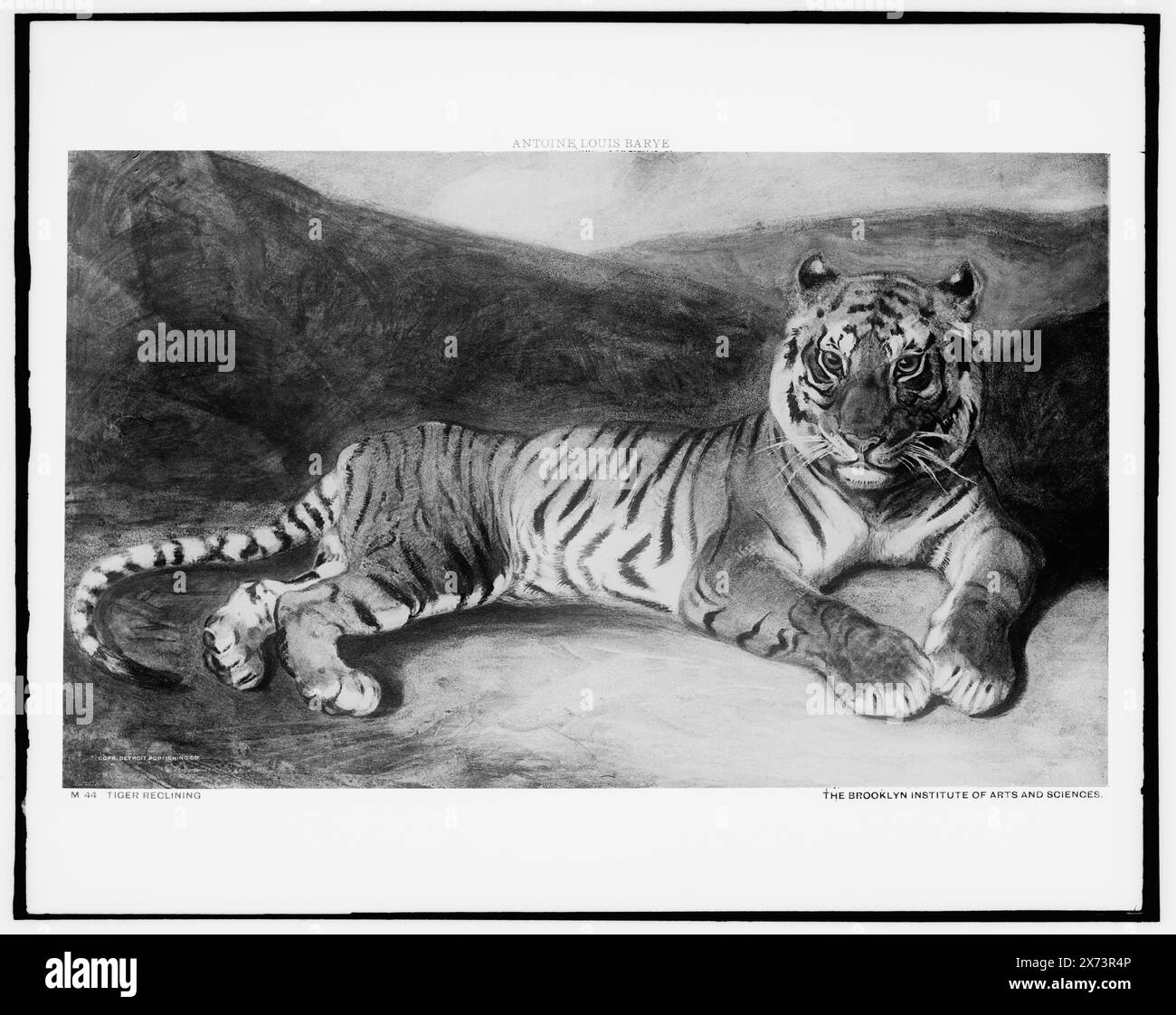 Tiger Reclining, Date Based on Detroit, Thistle Publications (1912)., Fotografie eines Gemäldes am Brooklyn Institute of Arts and Sciences., Detroit Publishing Co. No. M 44., Geschenk; State Historical Society of Colorado; 1949, Tigers. Stockfoto