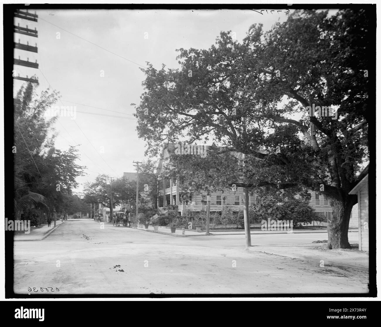 Miami, Florida, Avenue C und Fort Dallas Hotel, Titel aus Jackett, 'G 7712' auf negativ. Detroit Publishing Co.-Nr. 0500036., Geschenk; State Historical Society of Colorado; 1949, Dallas Park Hotel (Miami, Florida), Hotels. , Straßen. , Usa, Florida, Miami. Stockfoto