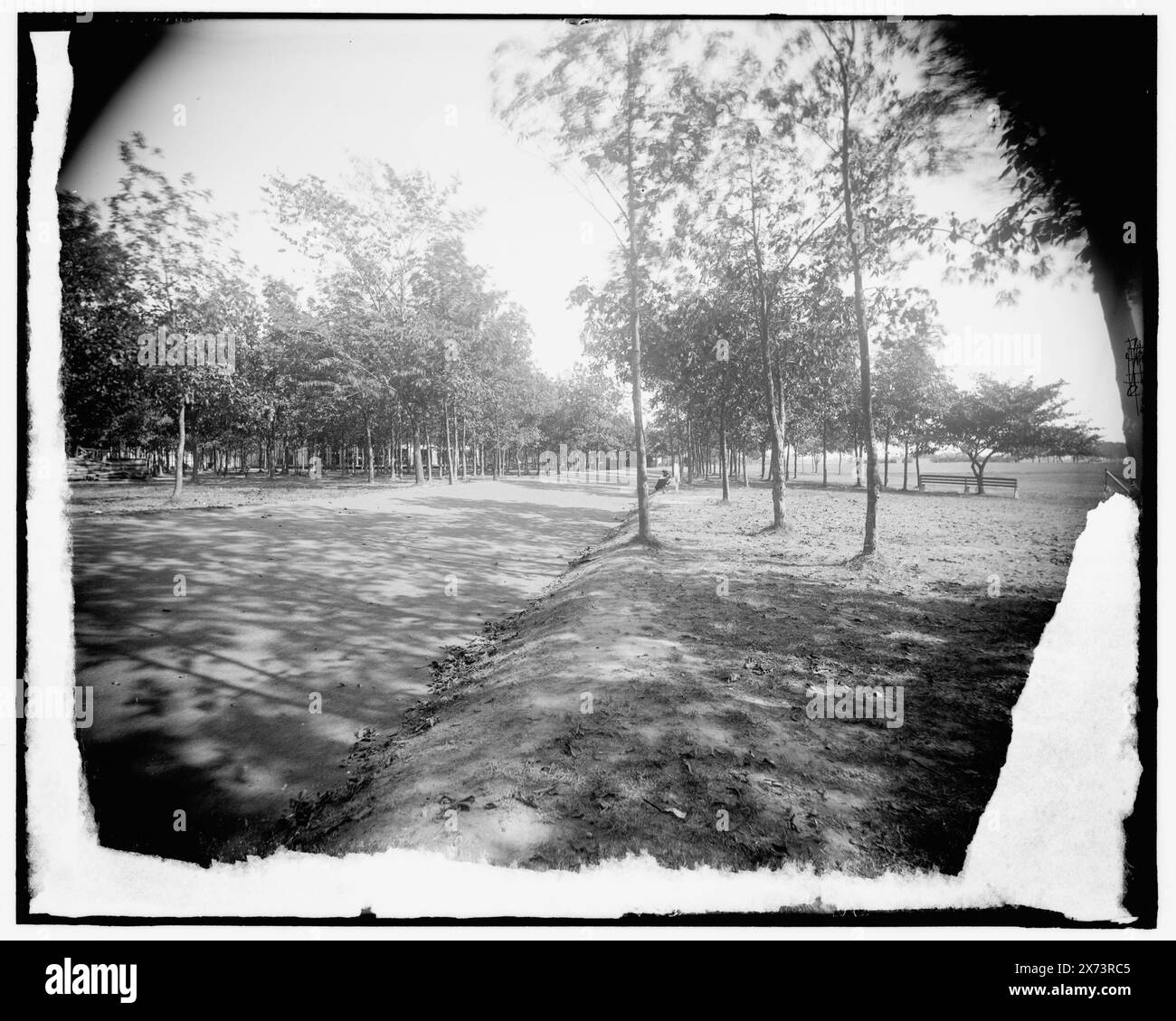 Straße, wahrscheinlich im Bois Blanc Park, Bois Blanc Island, Titel vom Kataloger erdacht. Detroit Publishing Co. No. 042134., Geschenk; State Historical Society of Colorado; 1949, Parks. , Straßen. , Usa, Michigan, Bois Blanc Island. Stockfoto