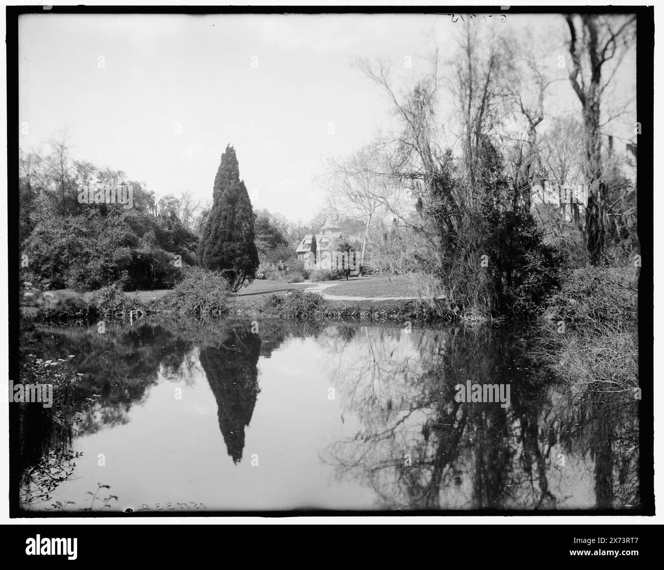 Charleston, S.C., Magnolia-on-the-Ashley, (Magnolia Gardens), gegenüber dem Rasen von der Landung, Titel von Jacke., Videobild ist kopfüber., 'G 7915' auf negativ., Detroit Publishing Co.-Nr. 0500332., Geschenk; State Historical Society of Colorado; 1949, Gardens. , Flüsse. , Reflexionen. , Usa, South Carolina, Charleston. Usa, South Carolina, Ashley River. Stockfoto