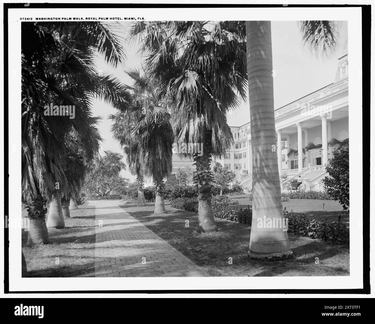 Washington Palm Walk, Royal Palm Hotel, Miami, Florida, Detroit Publishing Co.-Nr. 072412., Geschenk; State Historical Society of Colorado; 1949, Hotels. , Resorts. , Palmen. , Gehwege. , Usa, Florida, Miami. Stockfoto