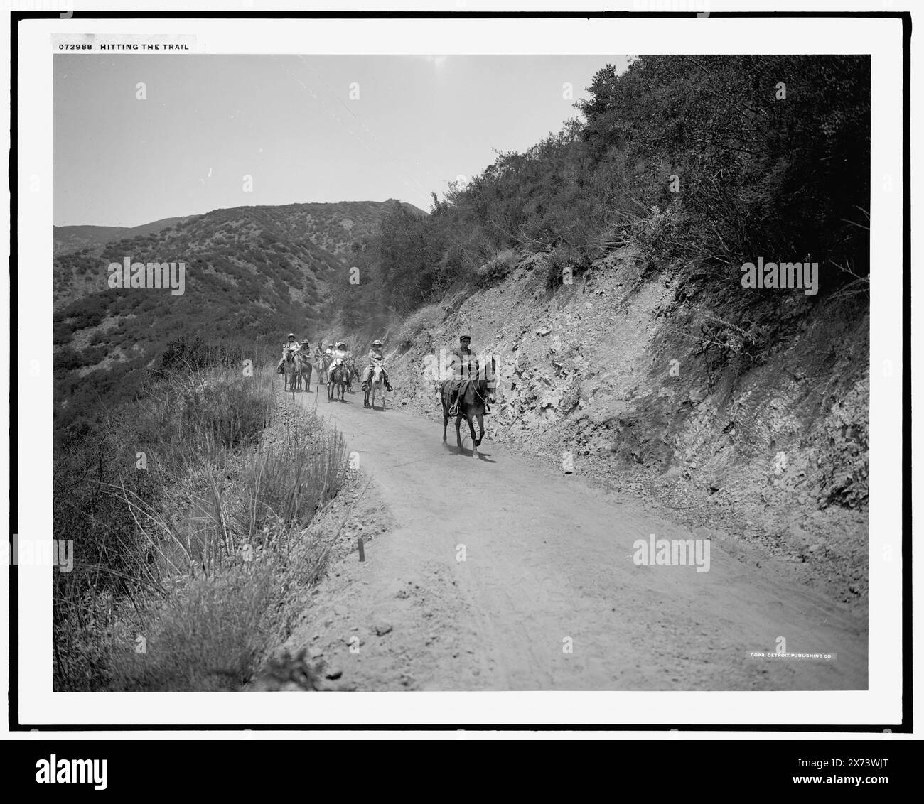 Auf der Spur, "Jon 31" auf negativ, Detroit Publishing Co.-Nr. 072988., Gift; State Historical Society of Colorado; 1949, Trails & Pfade. , Reiten. Stockfoto