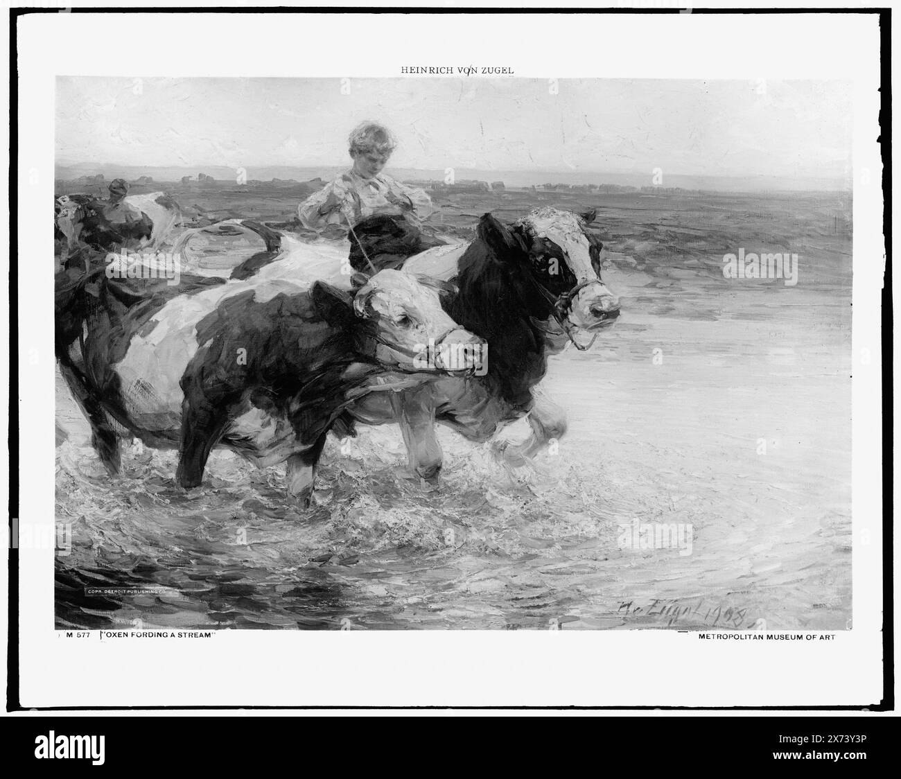 Ochsen, die einen Bach forten, Foto eines Gemäldes signiert 'H. Zugel, 1908' im Metropolitan Museum of Art., Detroit Publishing Co. No. M 577., Geschenk; State Historical Society of Colorado; 1949, Oxen. , Fords (Stream Crossing) , Kinder & Tiere. Stockfoto
