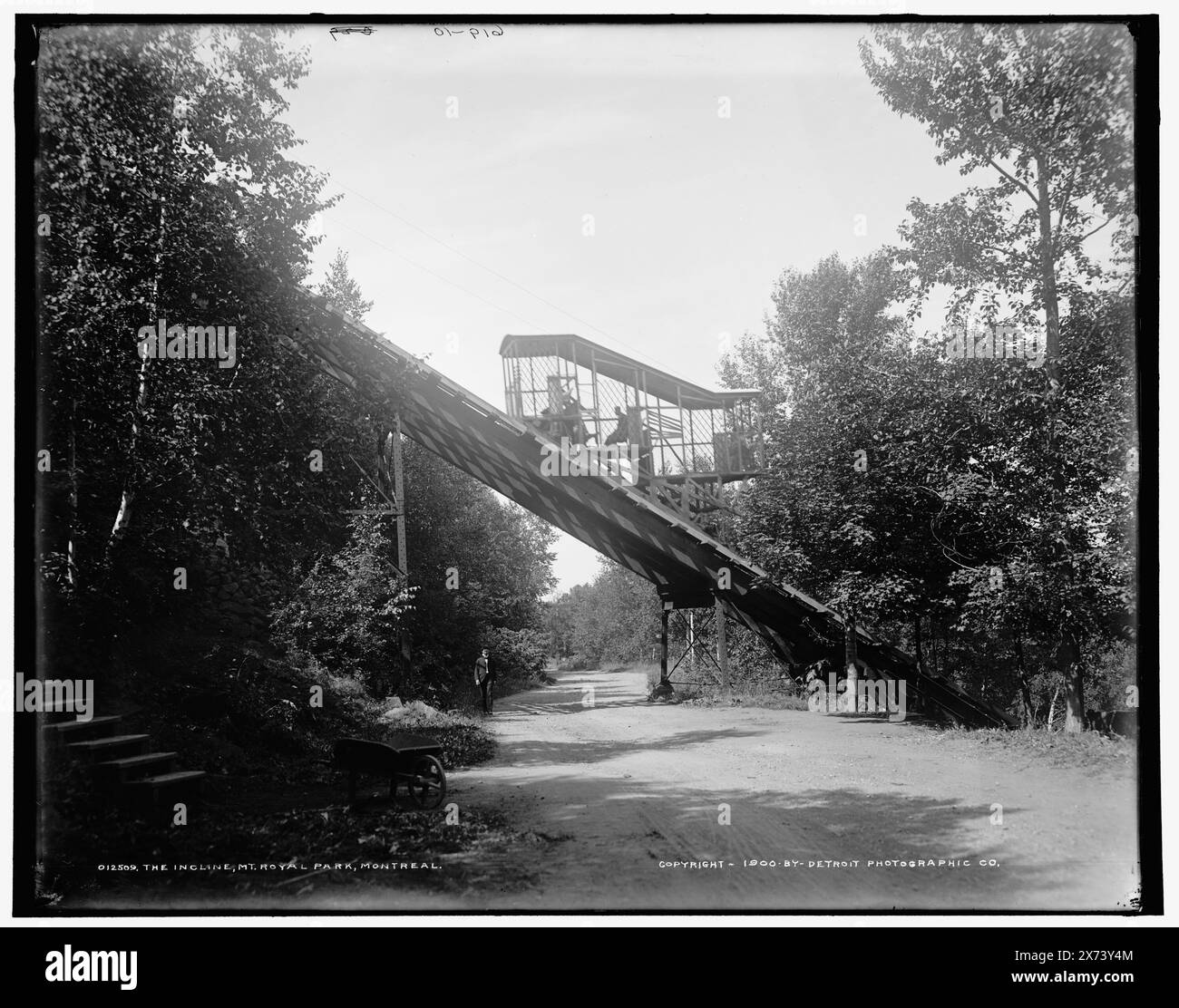 Die Steigung, Mt. Royal Park, Montreal, 'WHJ' auf Jacke; '619-10' auf negativ. Detroit Publishing Co.-Nr. 012509., Gift; State Historical Society of Colorado; 1949, Neigungsbahn. , Parks. , Kanada, Quebec (Provinz), Montreal. Stockfoto