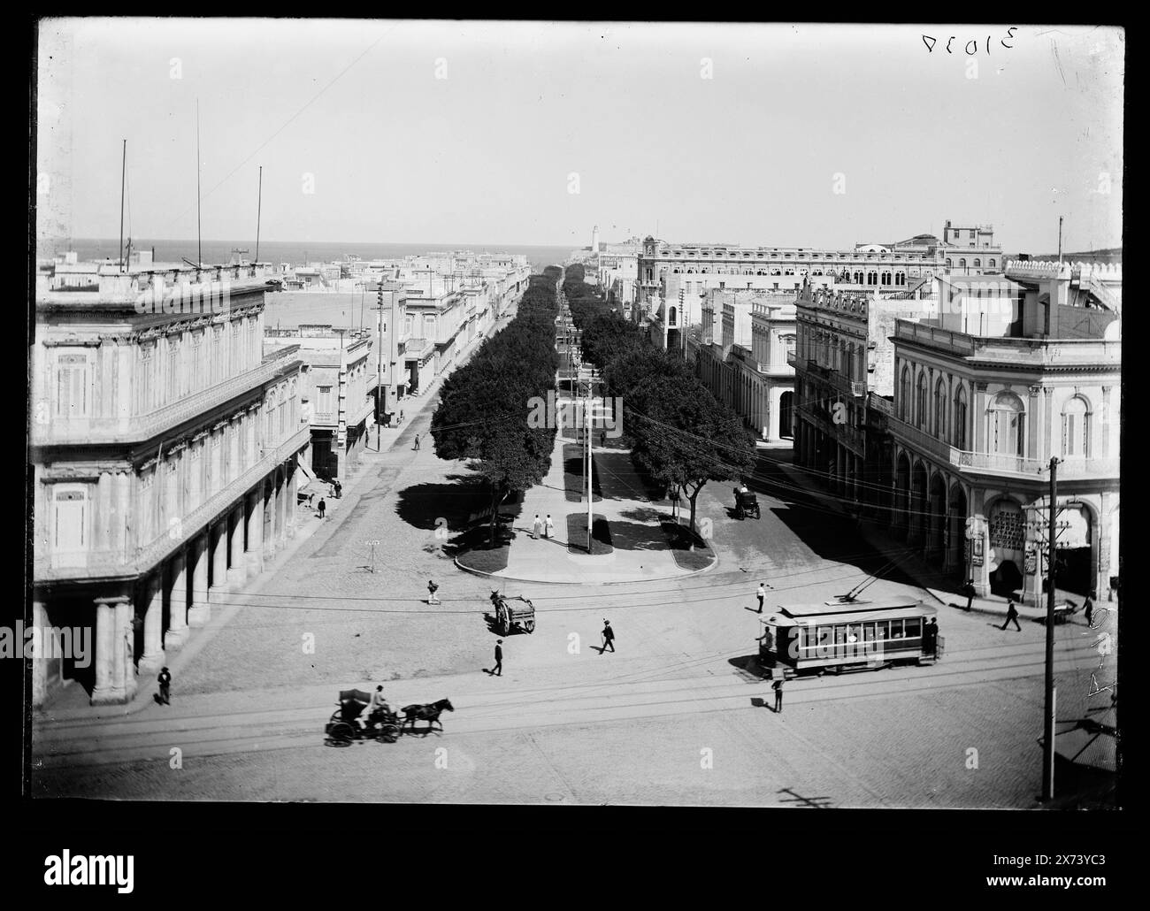 The Prado, Havanna, Kuba, Titel vom Kataloger erfunden., 'B-10' auf negativ., 'Cafe Centro [, .] De Tabaco y Cigarros , ." Am Gebäude rechts. Detroit Publishing Co.-Nr. 031038., Geschenk; State Historical Society of Colorado; 1949, kommerzielle Einrichtungen. , Straßen. Kuba, Havanna. Stockfoto