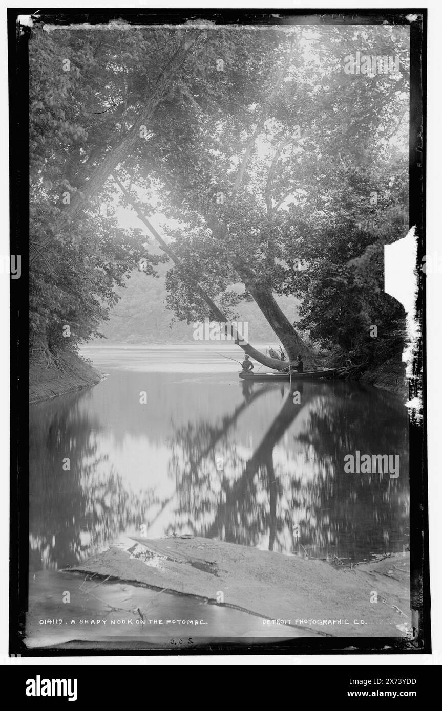 A Shady Nook on the Potomac, Attribution based on Negatives with similar Numbers., auch erhältlich als Fotodruck in LOS 9097 mit Kopiernegativ LC-USZ62-65866 (s&W Filmkopie neg.)., Locale based on Detroit, Catalogue J Supplement (1901-1906)., '200' on negative., Detroit Publishing Co.-Nr. 014119., Geschenk; State Historical Society of Colorado; 1949, Trees. , Uferpromenade. , Usa, Maryland, Potomac River. Stockfoto