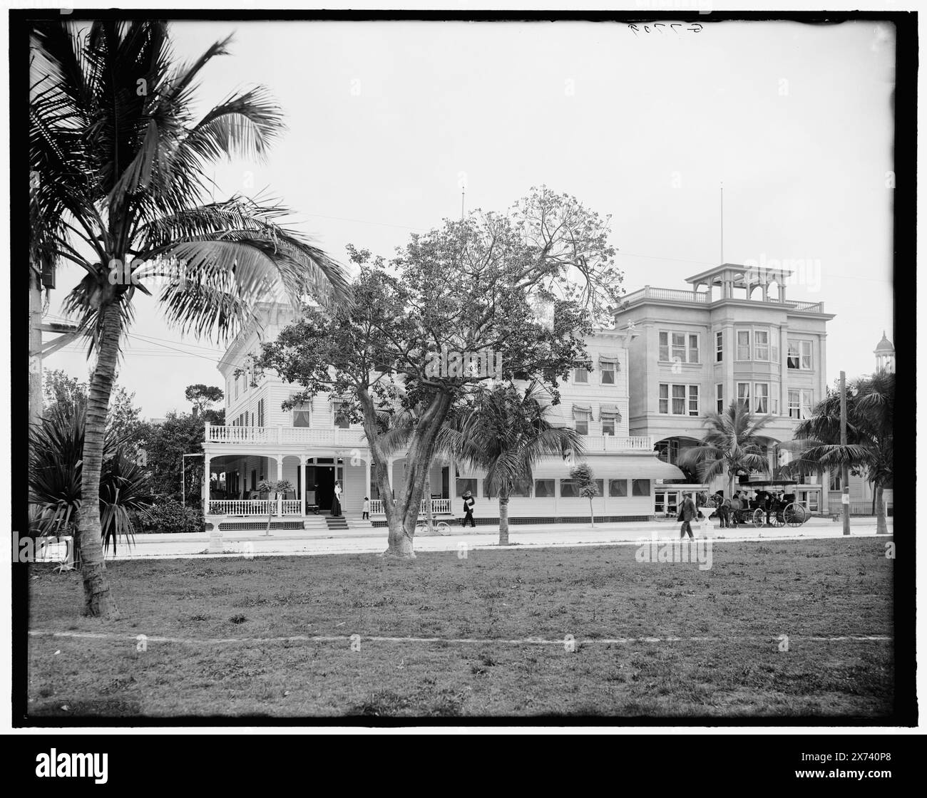San Carlos Hotel, Miami, Florida, Titel aus Jacke., 'G 7709' auf negativ. Detroit Publishing Co.-Nr. 500051., Geschenk; State Historical Society of Colorado; 1949, Hotels. , Usa, Florida, Miami. Stockfoto