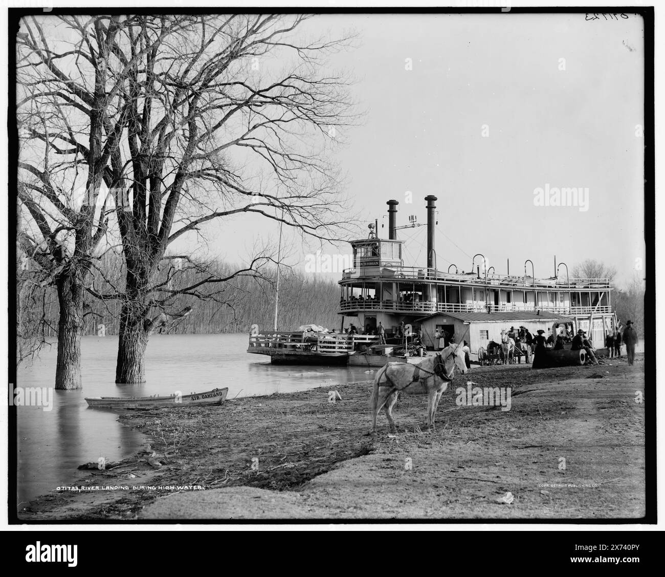 Flusslandung während Hochwasser, Memphis, Tenn., 'G 6729' auf negativ. Detroit Publishing Co.-Nr. 071723., Geschenk; State Historical Society of Colorado; 1949, Chass. H. Orgel (Stern-Wheeler), Flüsse. , Deiche. , Maultiere. , Heckräder. , Usa, Tennessee, Memphis. Stockfoto