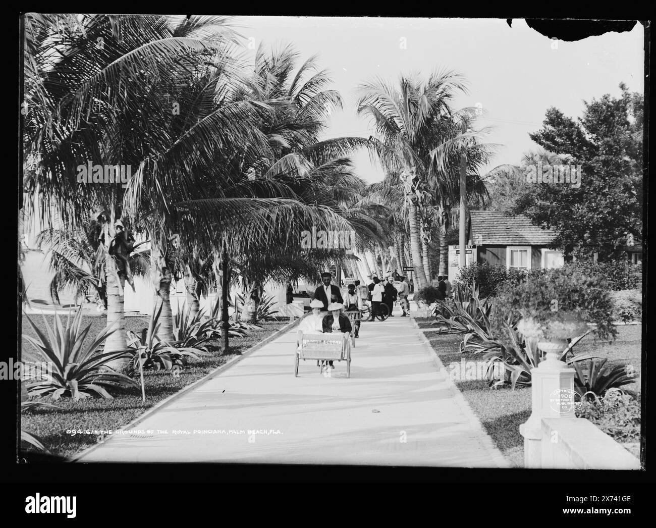 Das Gelände des Hotels Royal Poinciana, Palm Beach, Florida, 'M-10' auf negativ. Detroit Publishing Co. No 09416., Geschenk; State Historical Society of Colorado; 1949, Resorts. , Gehwege. , Usa, Florida, Palm Beach. Stockfoto