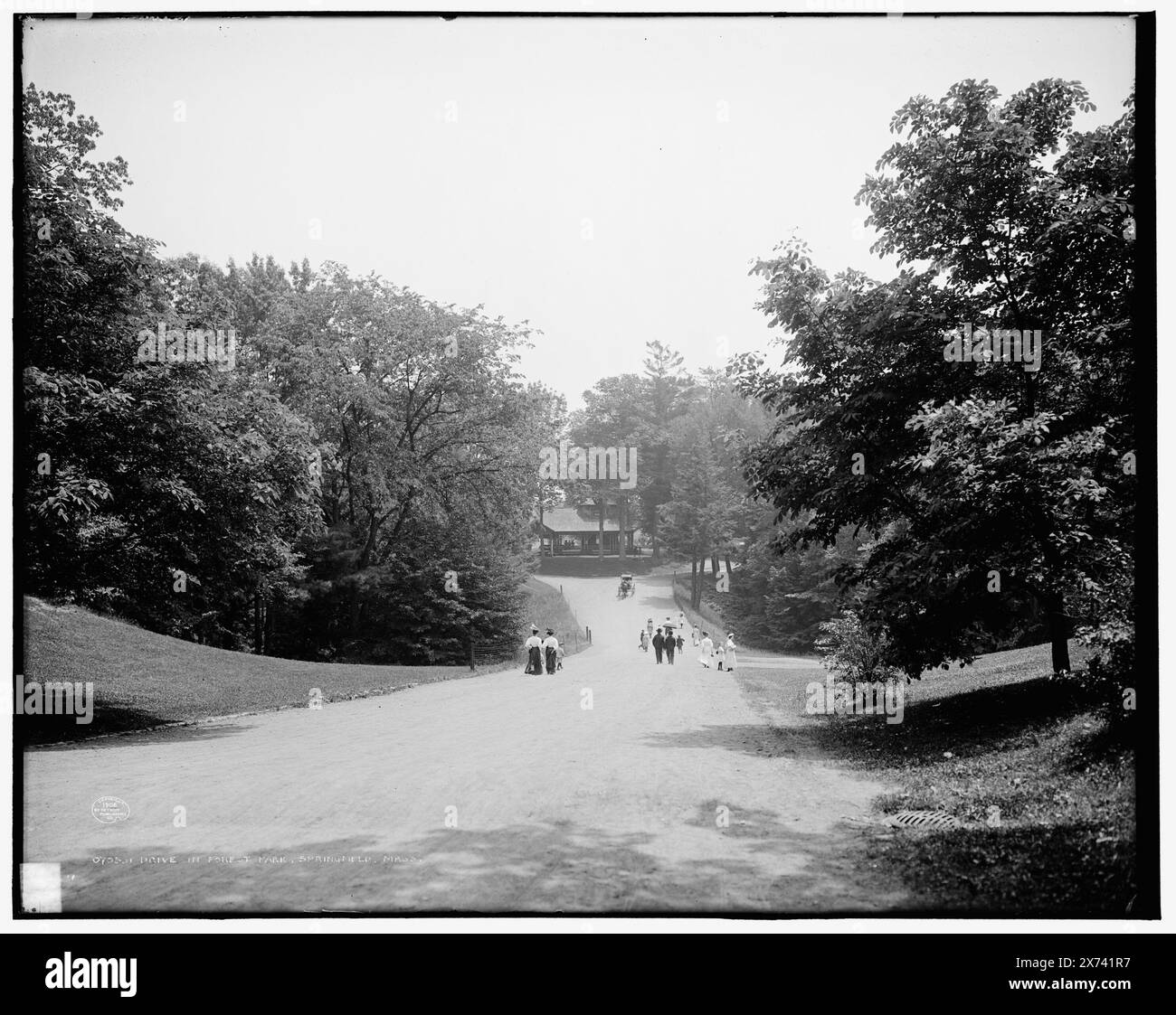 Drive in Forest Park, Springfield, Mass., '4157' auf negative, Detroit Publishing Co.-Nr. 070531., Geschenk; State Historical Society of Colorado; 1949, Parks. , Straßen. , Usa, Massachusetts, Springfield. Stockfoto