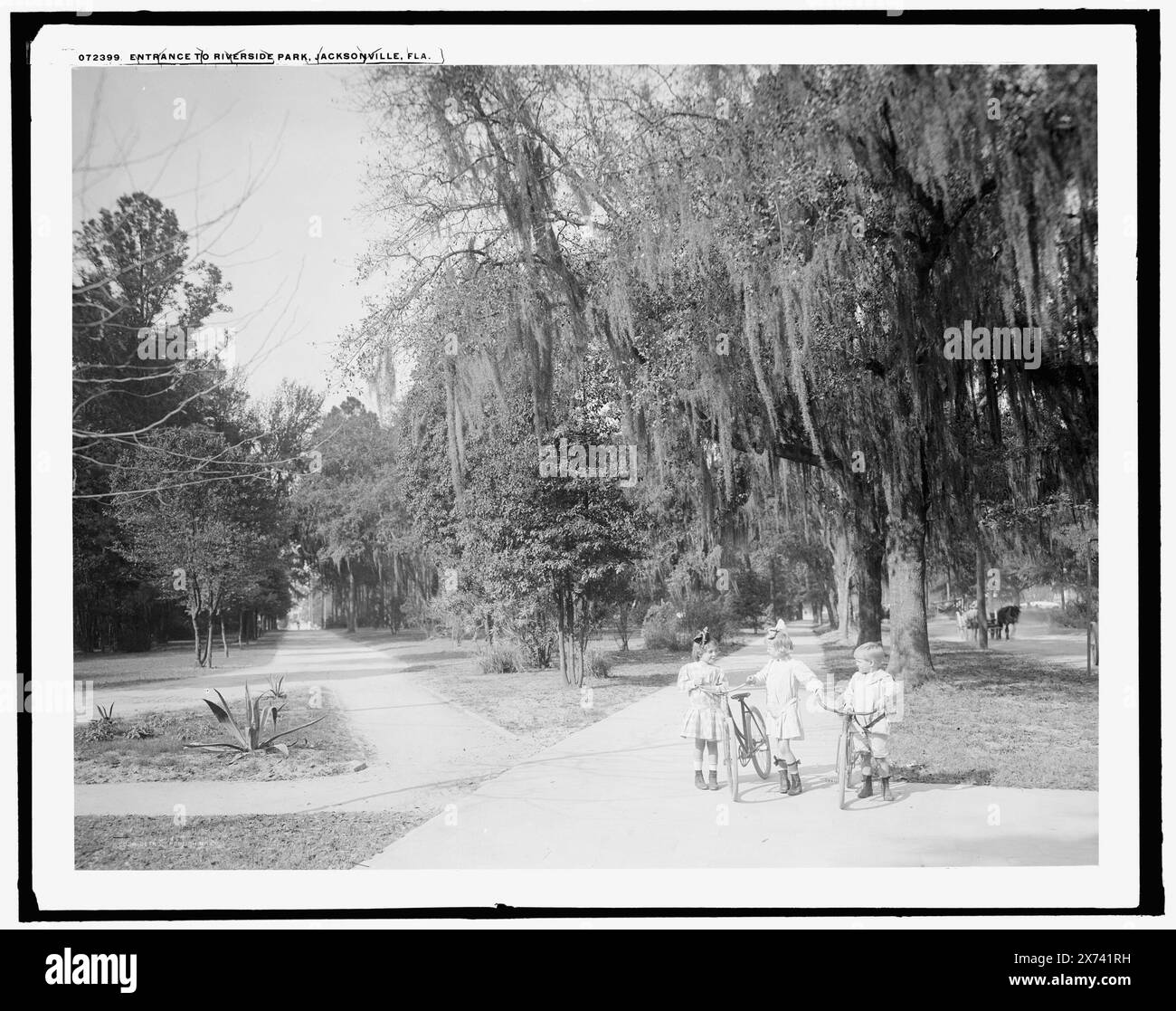 Eintritt zum Riverside Park, Jacksonville, Florida, Detroit Publishing Co.-Nr. 072399., Geschenk; State Historical Society of Colorado; 1949, Parks. , Fahrräder & Dreiräder. , Kinder spielen draußen. , Usa, Florida, Jacksonville. Stockfoto