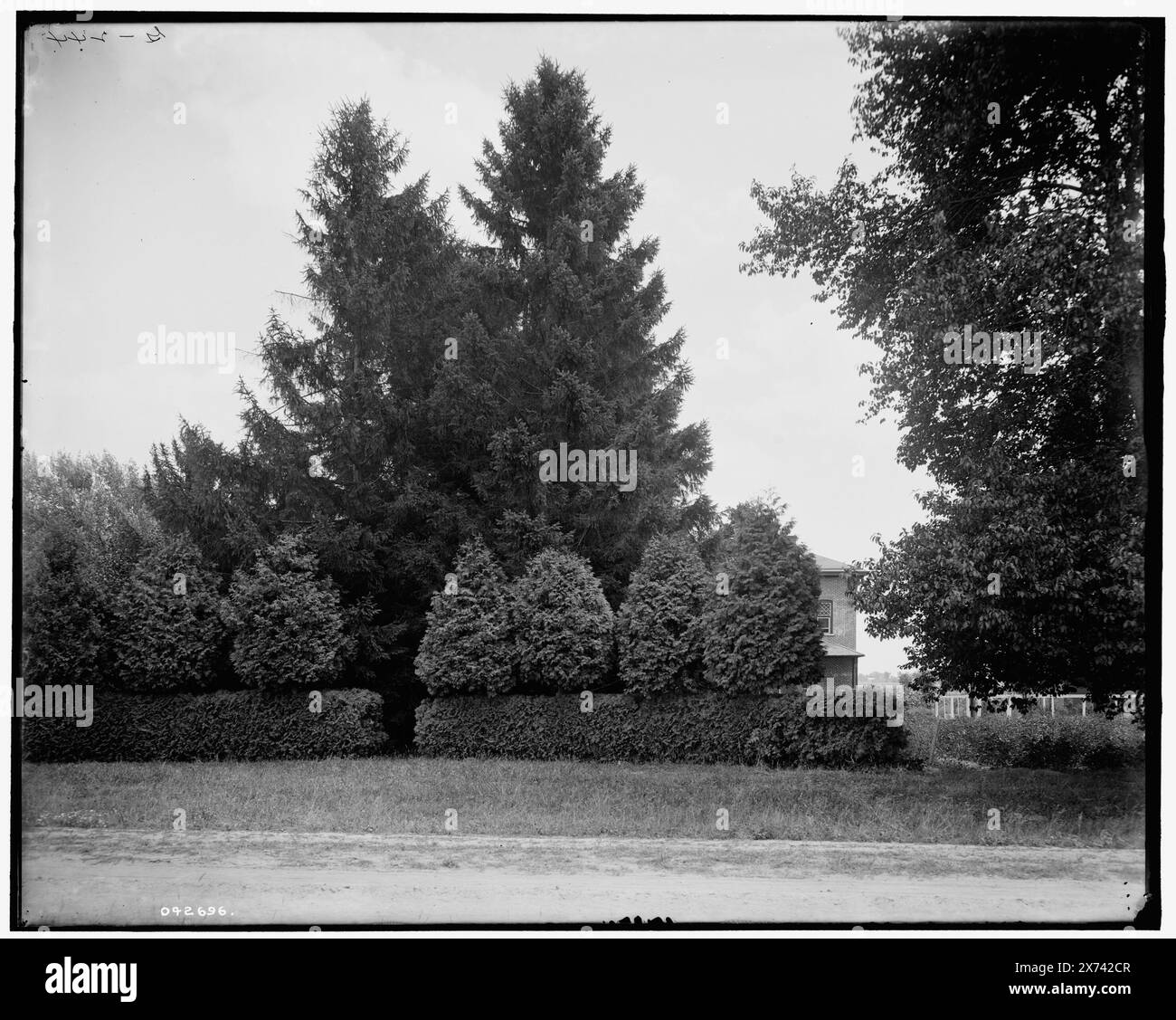 The Firs West Entrance, New Baltimore, mich., Titel aus Jacke., 'G 244' auf negativ. Detroit Publishing Co.-Nr. 042696., Geschenk; State Historical Society of Colorado; 1949, Farms. , Usa, Michigan, New Baltimore. Stockfoto