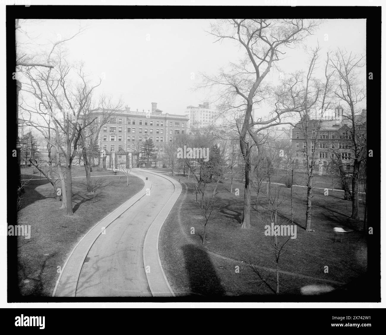 New York, New York, New York, der Campus, Columbia Univ., Titel von Jackett. No. Detroit Publishing Co. No., Gift; State Historical Society of Colorado; 1949, Columbia University. , Universitäten und Hochschulen. , Usa, New York (Bundesstaat), New York. Stockfoto