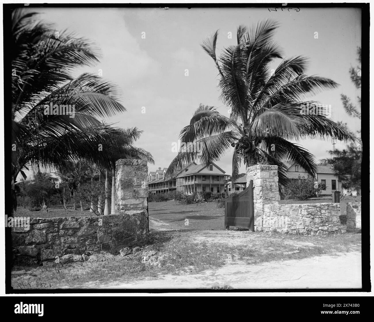 John M. Hopkins, Lake Placid School, Cocoanut, d. h. Coconut Grove, Miami, Florida, Titel aus Jacke., 'G 7721' auf negative., Detroit Publishing Co.-Nr. 500047., Geschenk; State Historical Society of Colorado; 1949, Schools. , Bildungseinrichtungen. , Gates. , Usa, Florida, Miami. Stockfoto