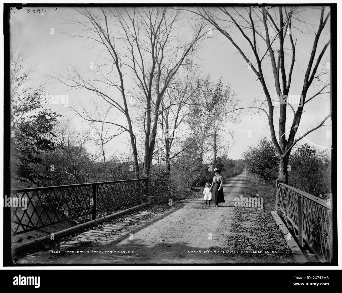 Mine Brook Road, Far Hills, N.J., negativer Riss am rechten Rand, Detroit Publishing Co.-Nr. 011528., Geschenk; State Historical Society of Colorado; 1949, Bridges. Usa, New Jersey, Far Hills. Stockfoto