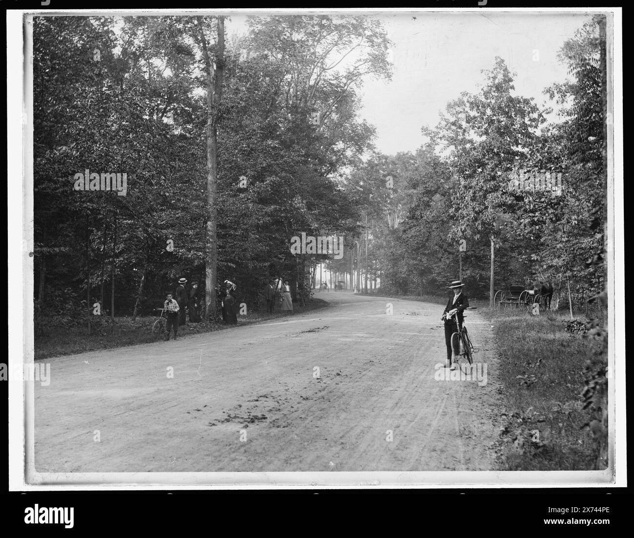 Belle Isle Park, Forest Drive, Date Based on Detroit, Catalogue F (1899)., entsprechende Glastransparenz (LC-D4-80 x) verfügbar auf Videobild 1A-28723., Detroit Publishing Co.-Nr. 03761., Geschenk; State Historical Society of Colorado; 1949, Parks. , Fahrräder & Dreiräder. , Usa, Michigan, Detroit. Stockfoto