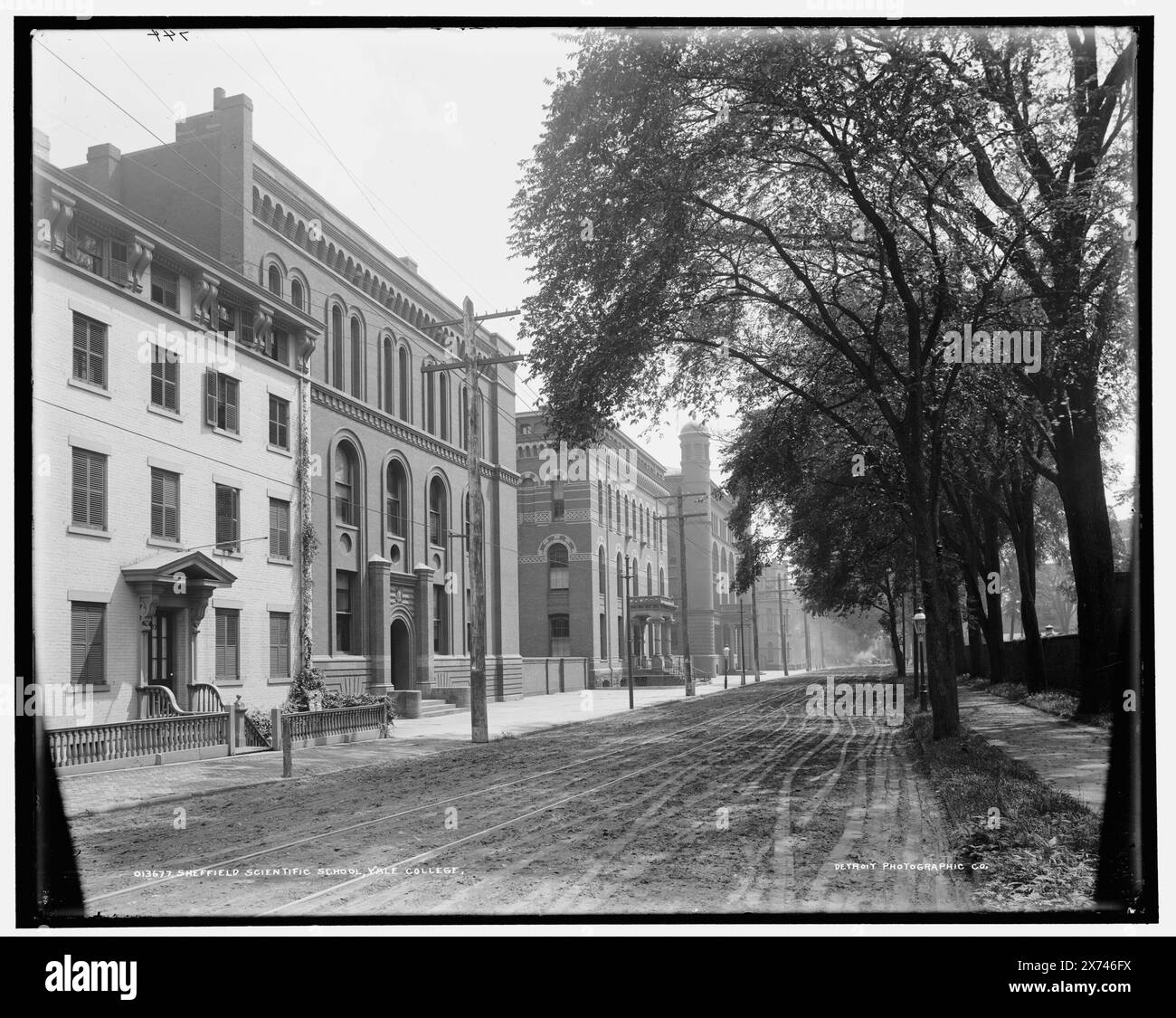 Sheffield Scientific School, Yale College, Date Based on Detroit, Catalogue J Supplement (1901-1906)., '744' on negative., Detroit Publishing Co.-Nr. 013677., Geschenk; State Historical Society of Colorado; 1949, Bildungseinrichtungen. , Universitäten und Hochschulen. , Straßen. , Usa, Connecticut, New Haven. Stockfoto