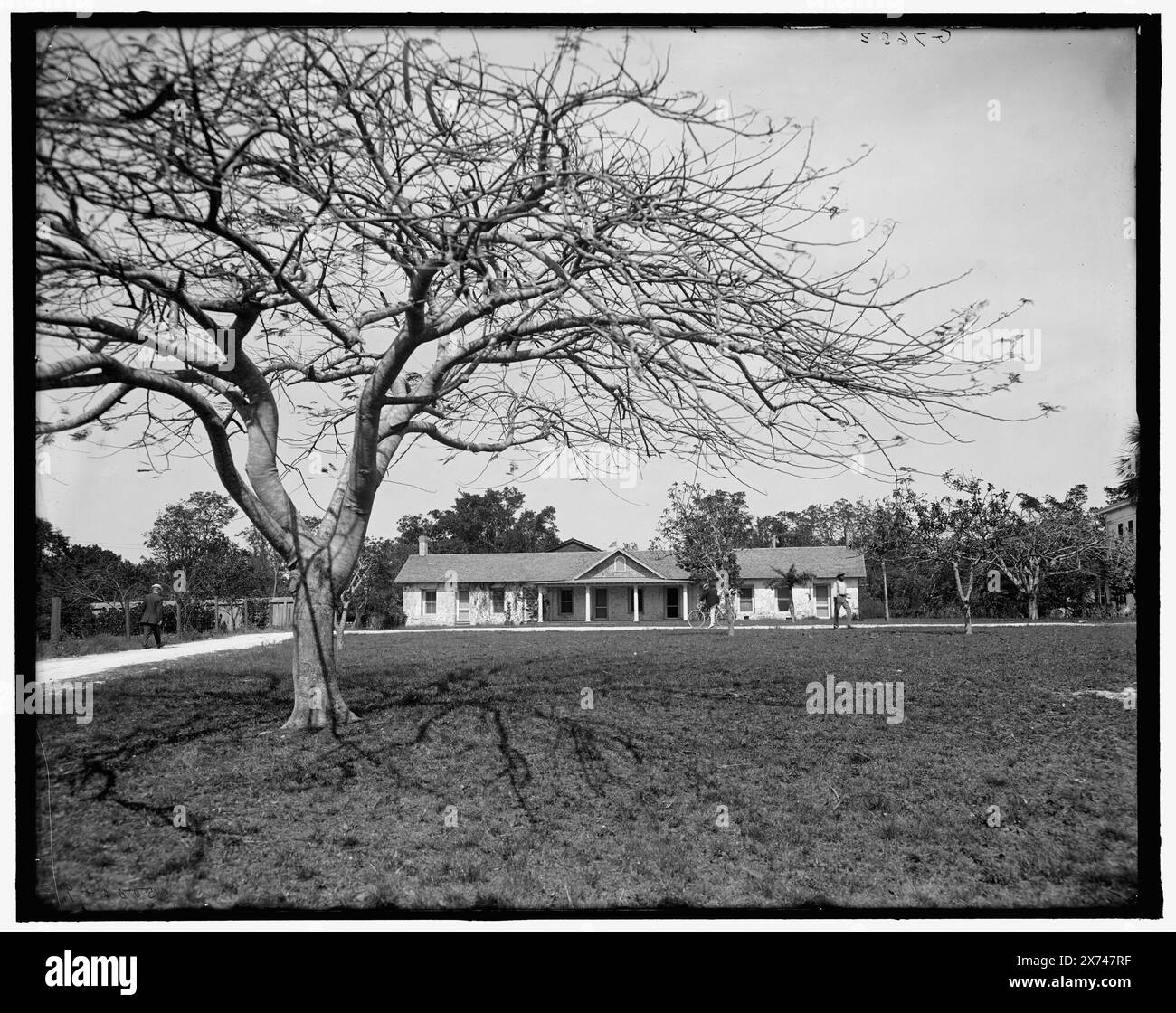 Old Fort Dallas, Miami, Florida, Titel aus Jacke, 'G 7683' auf negativ, Detroit Publishing Co.-Nr. 500049., Geschenk; State Historical Society of Colorado; 1949, Forts & Fortifications. , Usa, Florida, Miami. Stockfoto
