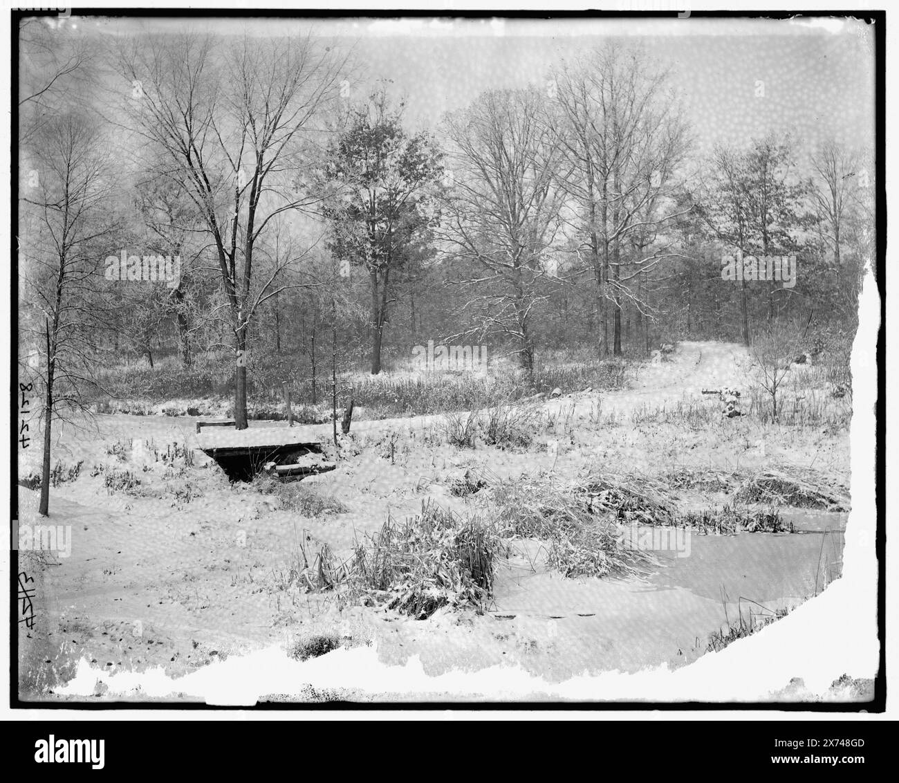 Straße in der Winterlandschaft, Titel vom Kataloger erdacht, "Penny's negative" auf Jacke gestanzt. Detroit Publishing Co.-Nr. 042128., Geschenk; State Historical Society of Colorado; 1949, Roads. , Schnee. Stockfoto