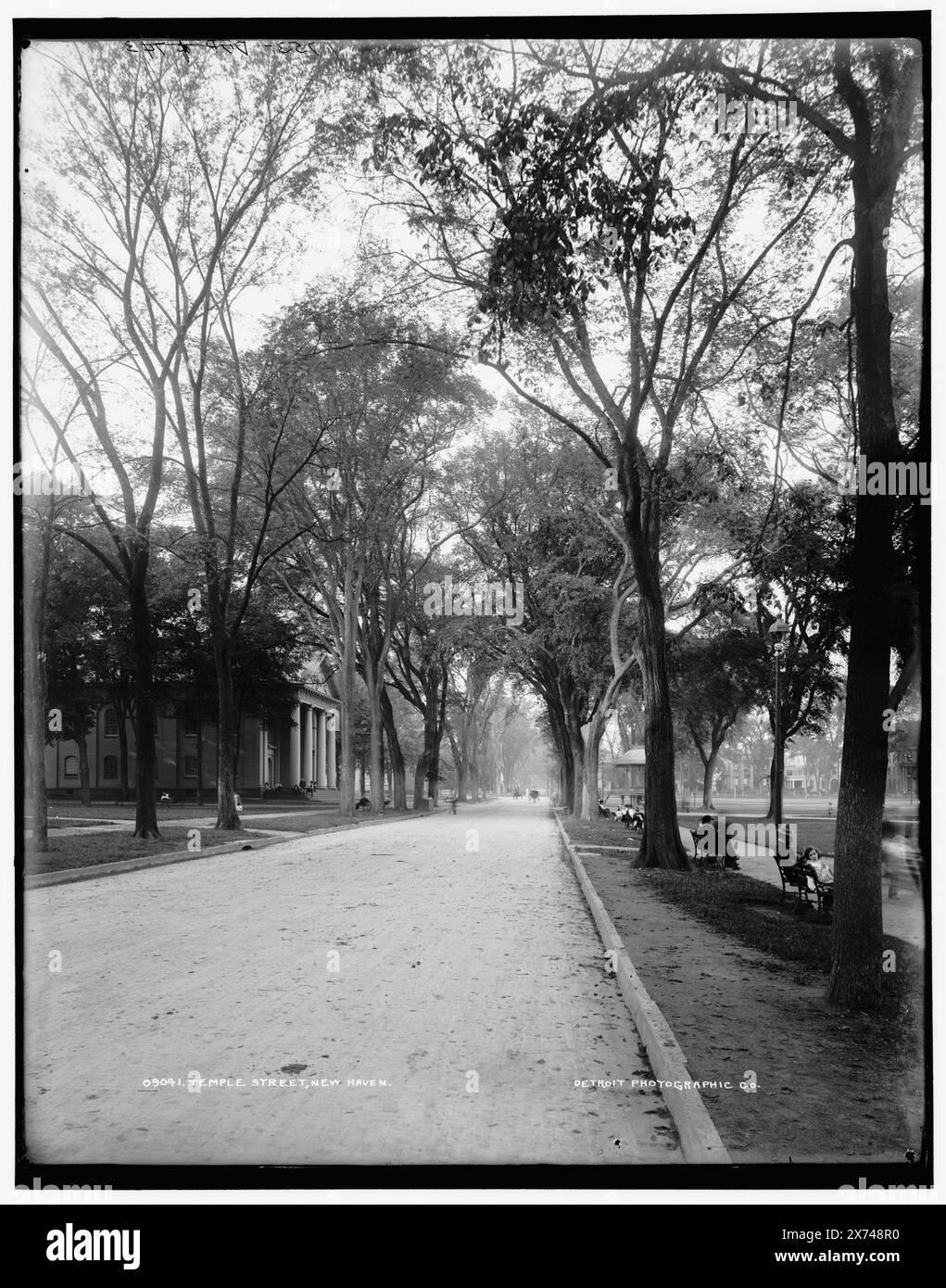 Temple Street, New Haven, Datum basierend auf Detroit, Katalog J (1906)., '753; dup of 743' on negative., Detroit Publishing Co.-Nr. 09041., Geschenk; State Historical Society of Colorado; 1949, Streets. , Usa, Connecticut, New Haven. Stockfoto