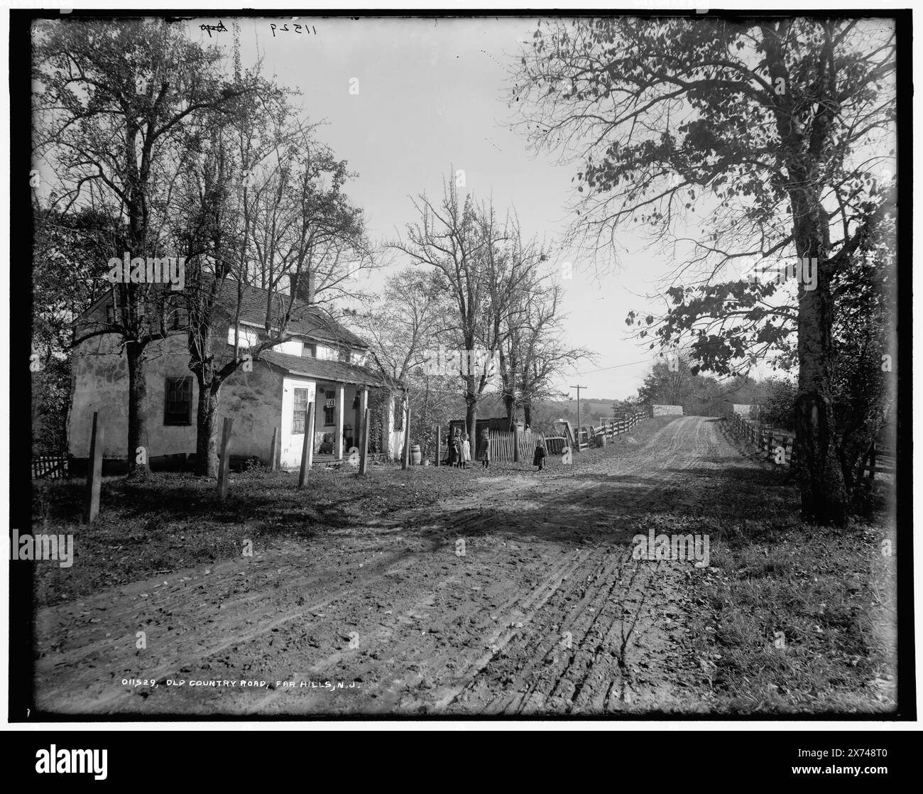 Old Country Road, Far Hills, N.J., Detroit Publishing Co.-Nr. 011529., Geschenk; State Historical Society of Colorado; 1949, Roads. , Wohnungen. Usa, New Jersey, Far Hills. Stockfoto