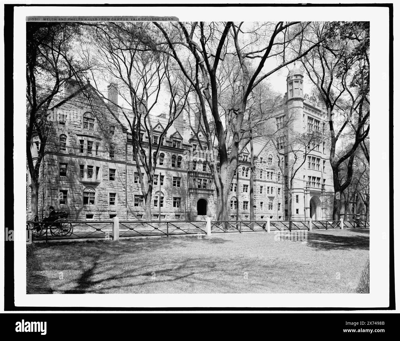 Welch und Phelps Hallen vom Campus, Yale College, Konn., Date Based on Detroit, Catalogue J Supplement (1901-1906)., Detroit Publishing Co.-Nr. 013311., Geschenk; State Historical Society of Colorado; 1949, Universities & Colleges. , Bildungseinrichtungen. , Usa, Connecticut, New Haven. Stockfoto