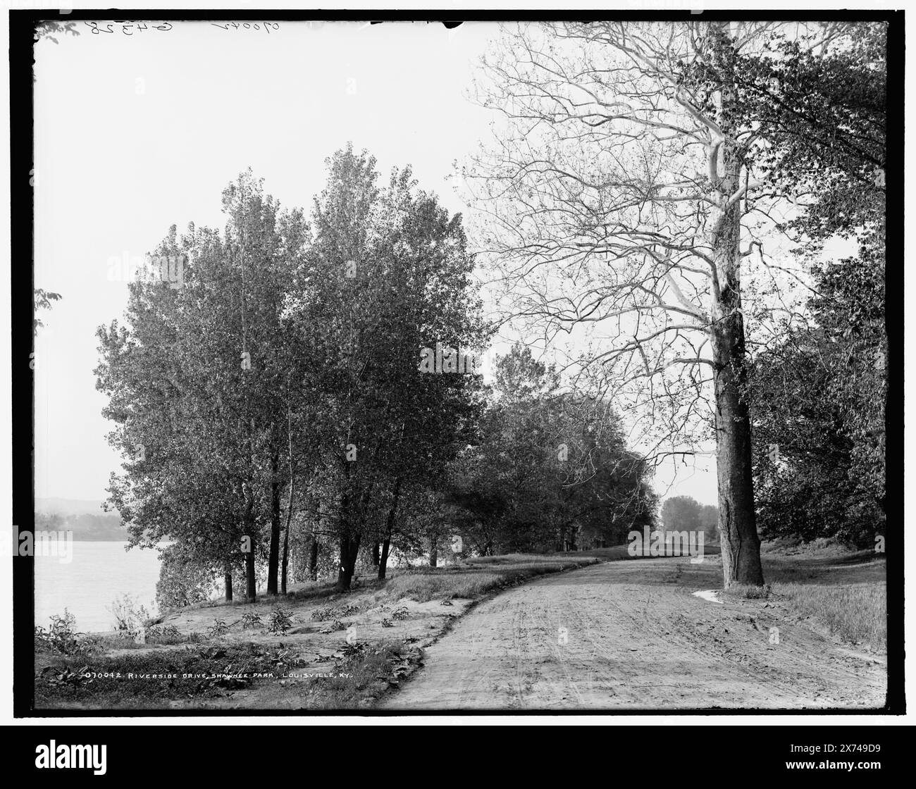 Riverside Drive, Shawnee Park, Louisville, Ky., 'G 4328' auf negativ., Detroit Publishing Co.-Nr. 070042., Geschenk; State Historical Society of Colorado; 1949, Parks. , Straßen. , Flüsse. , Uferpromenade. , Usa, Kentucky, Louisville. , Usa, Ohio River. Stockfoto